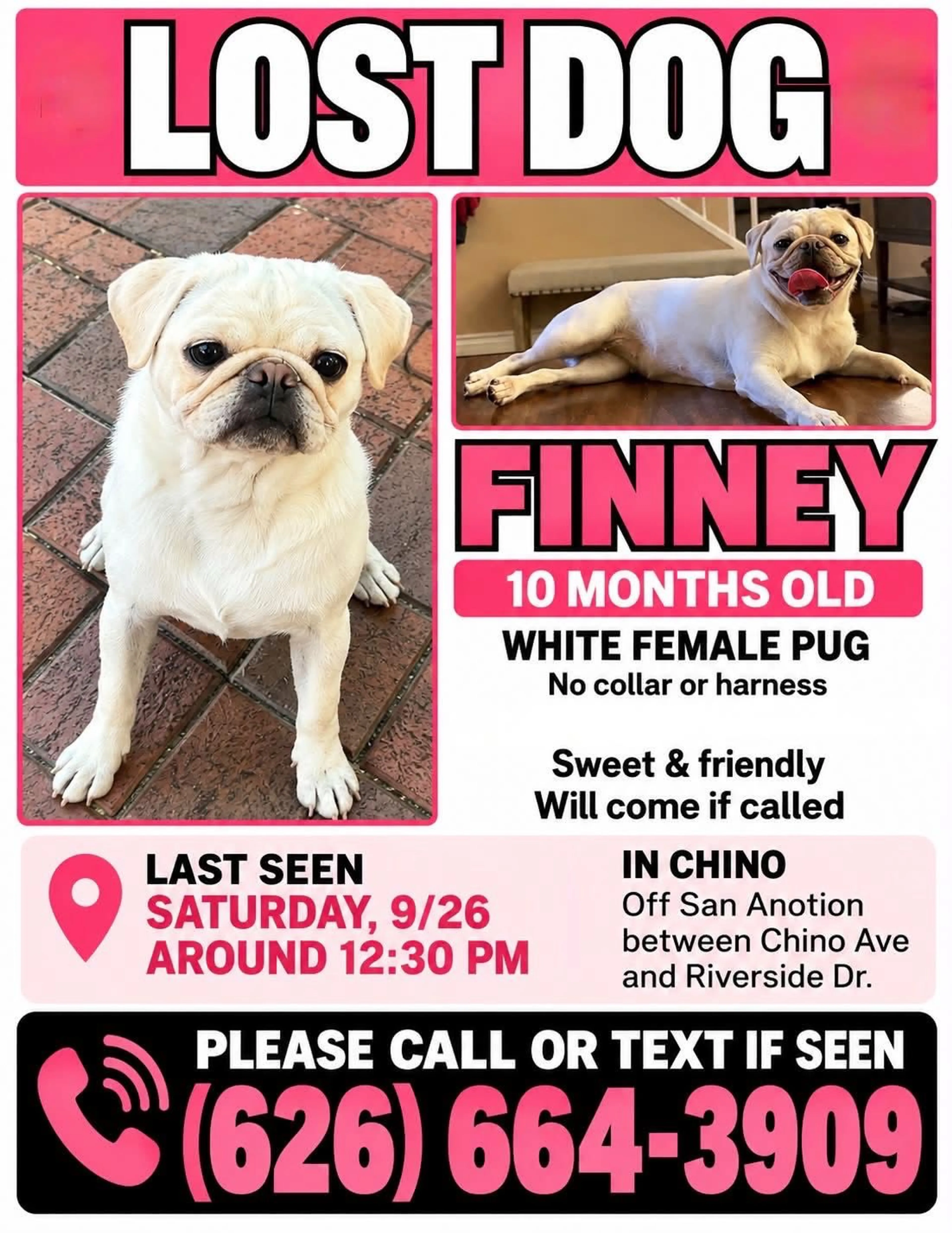 cdn image