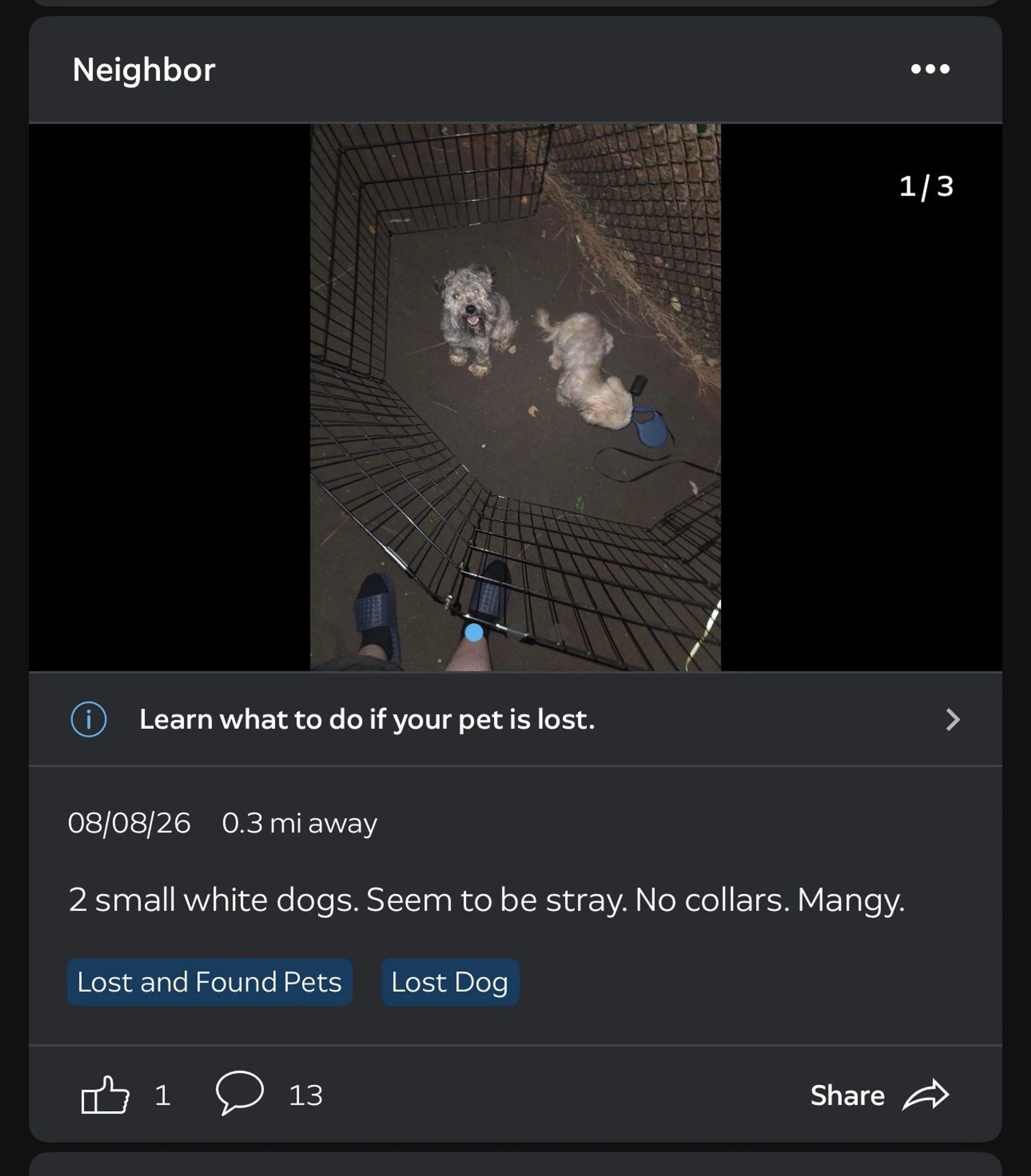 cdn image
