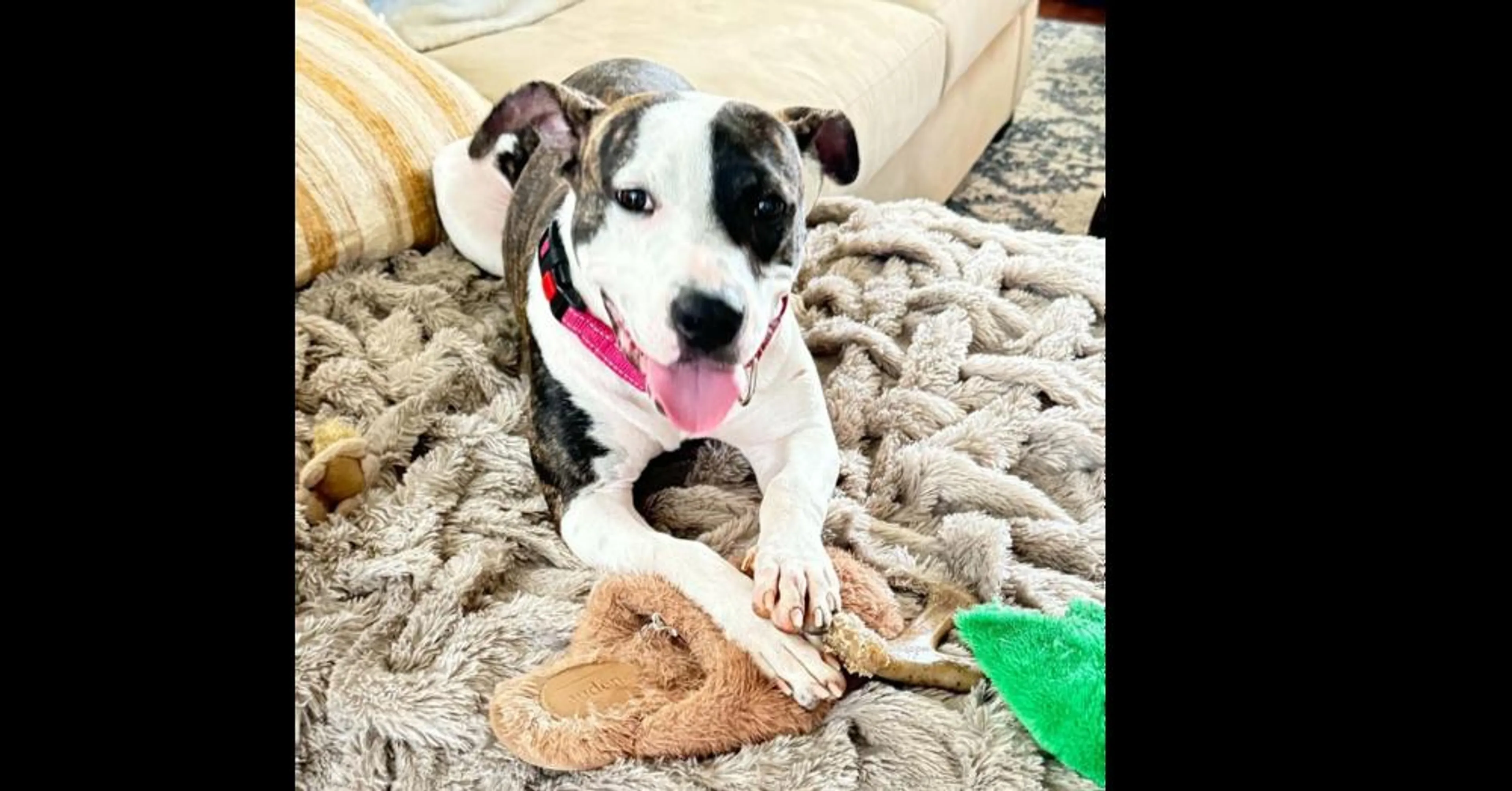 cdn image