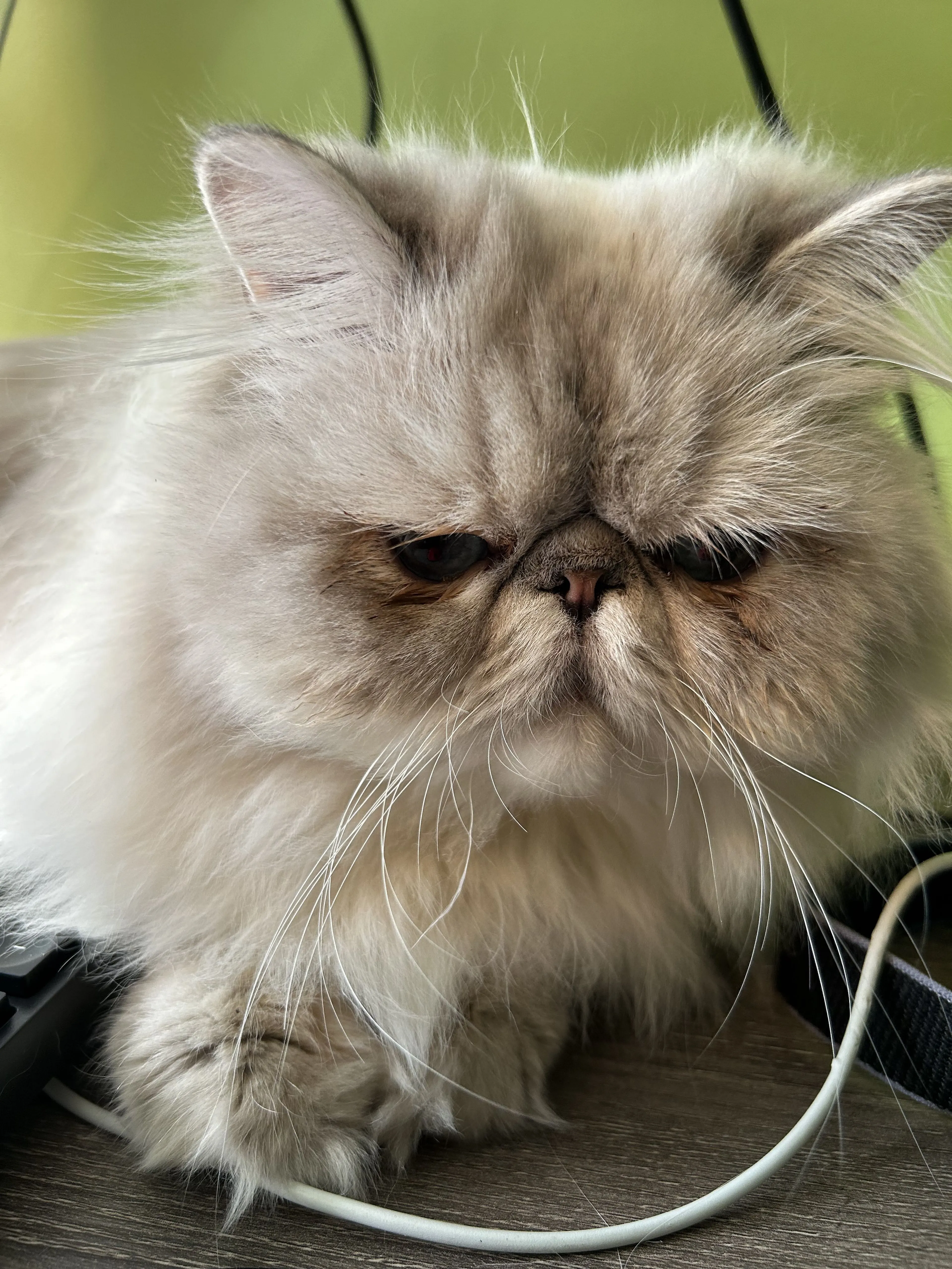 cdn image