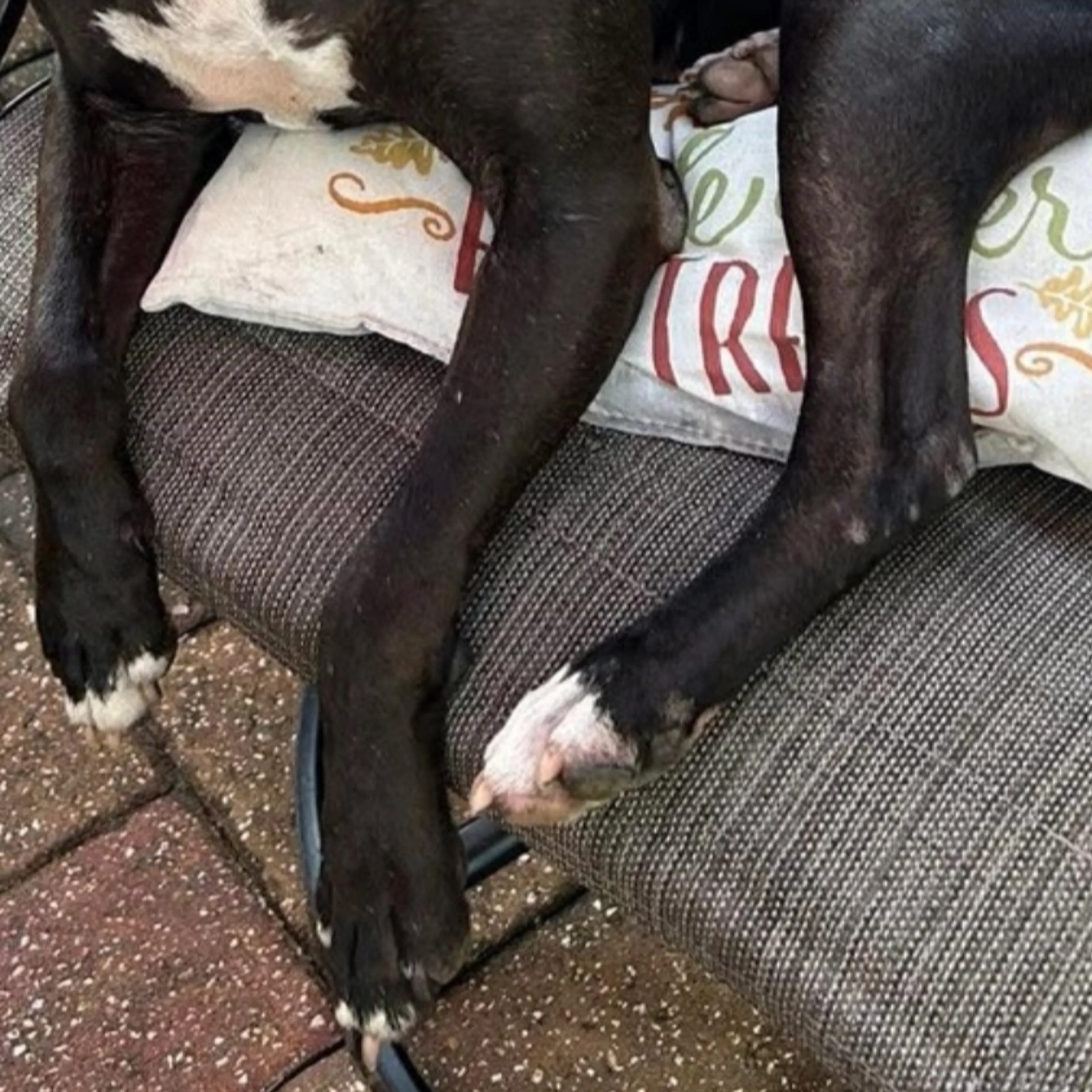 cdn image