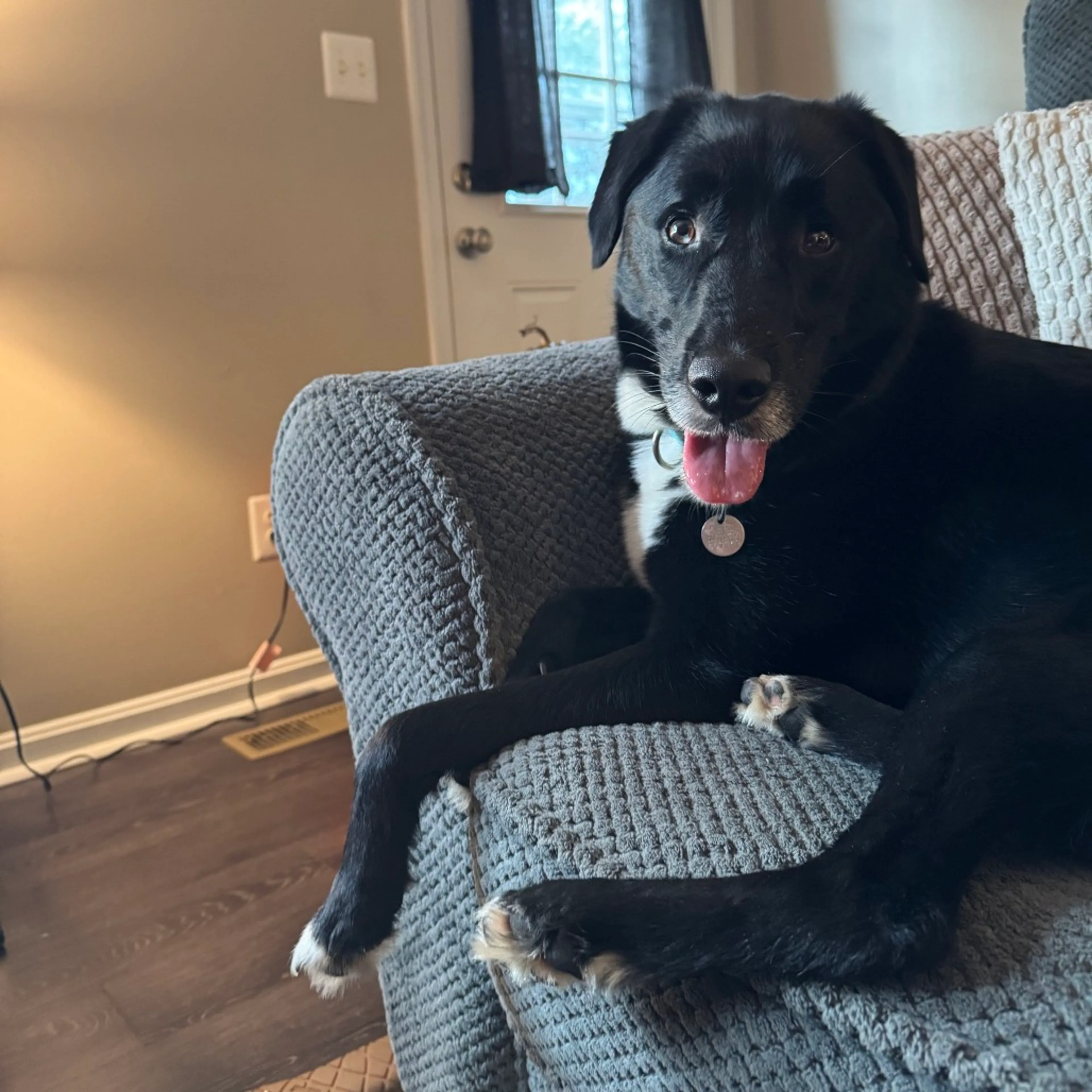 cdn image