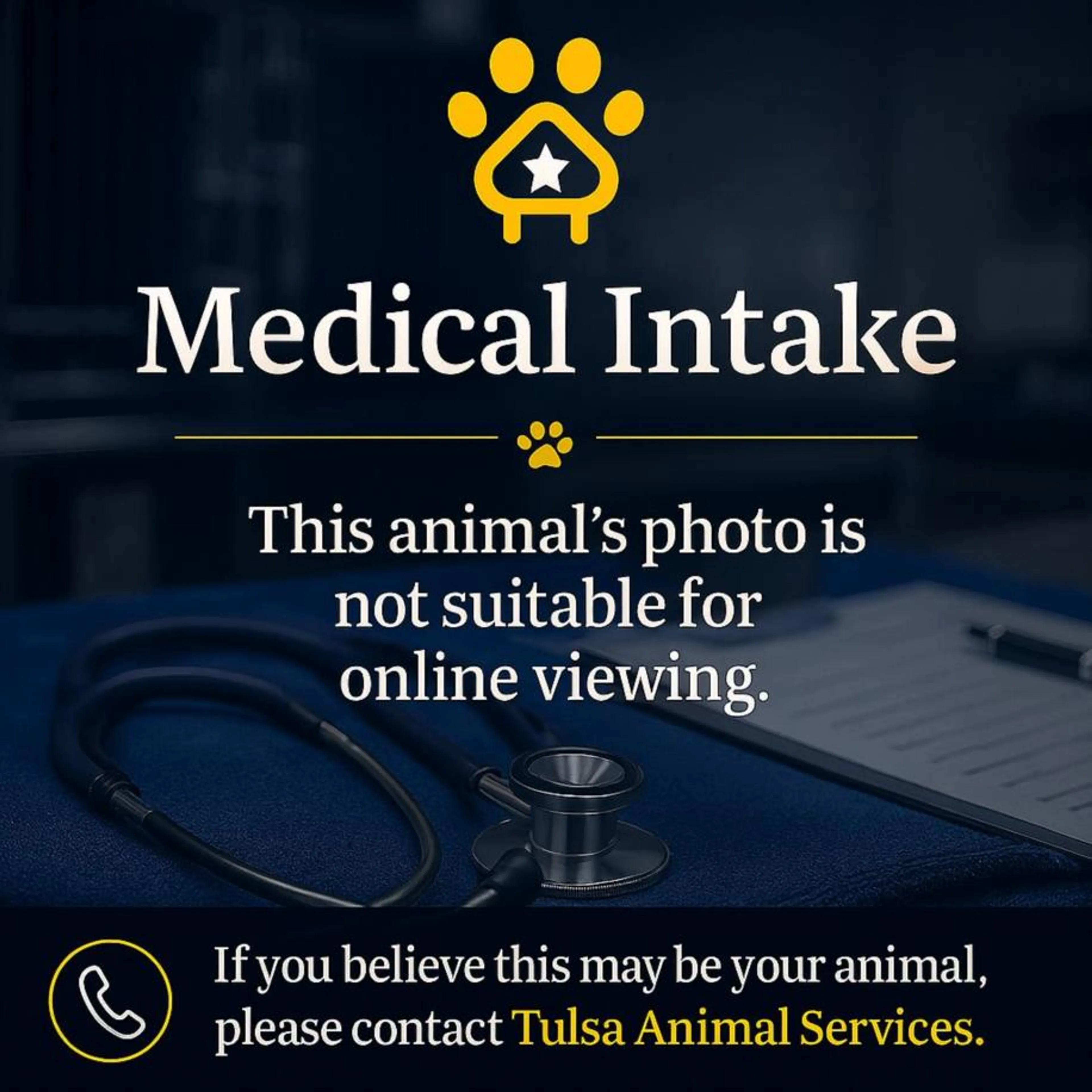 cdn image