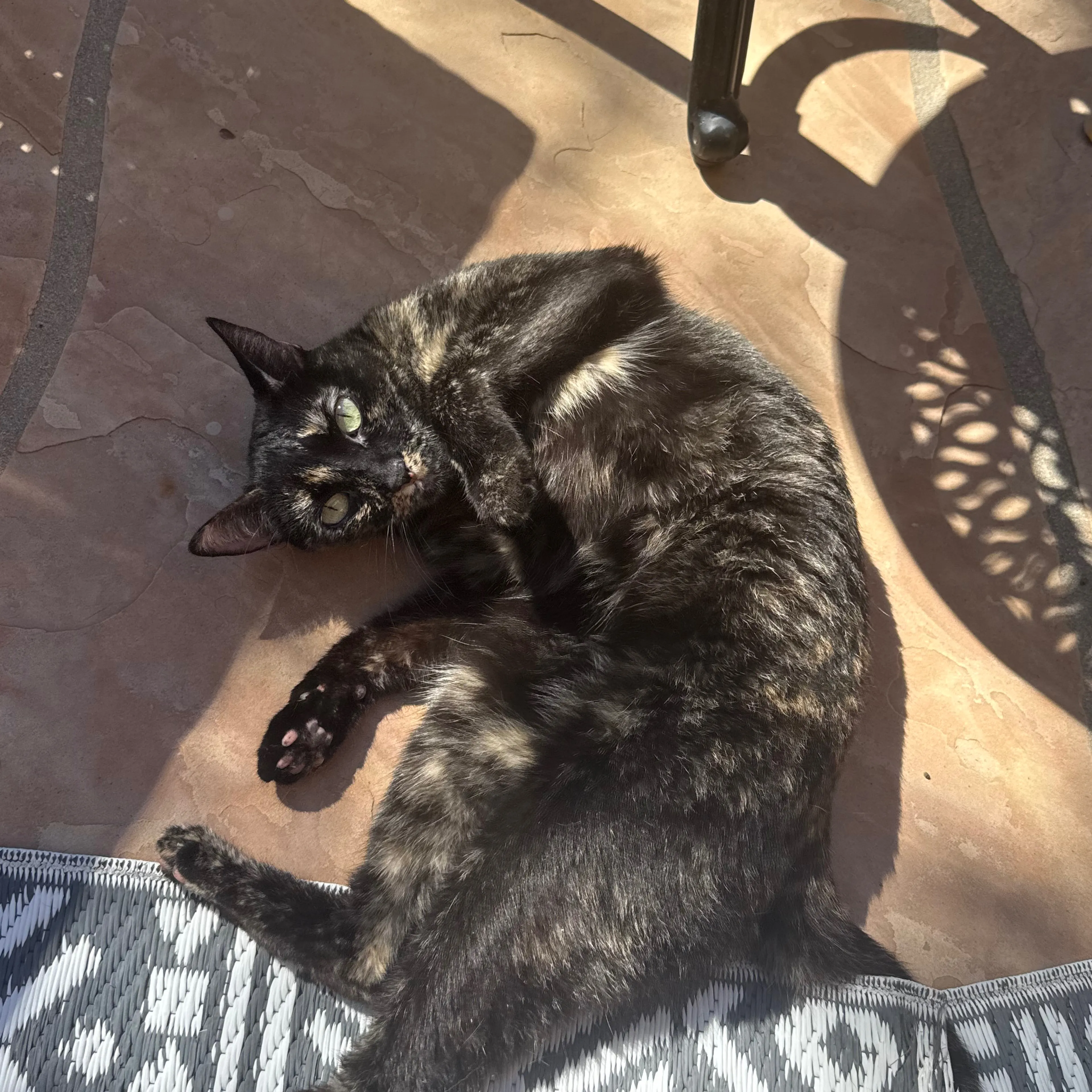 cdn image
