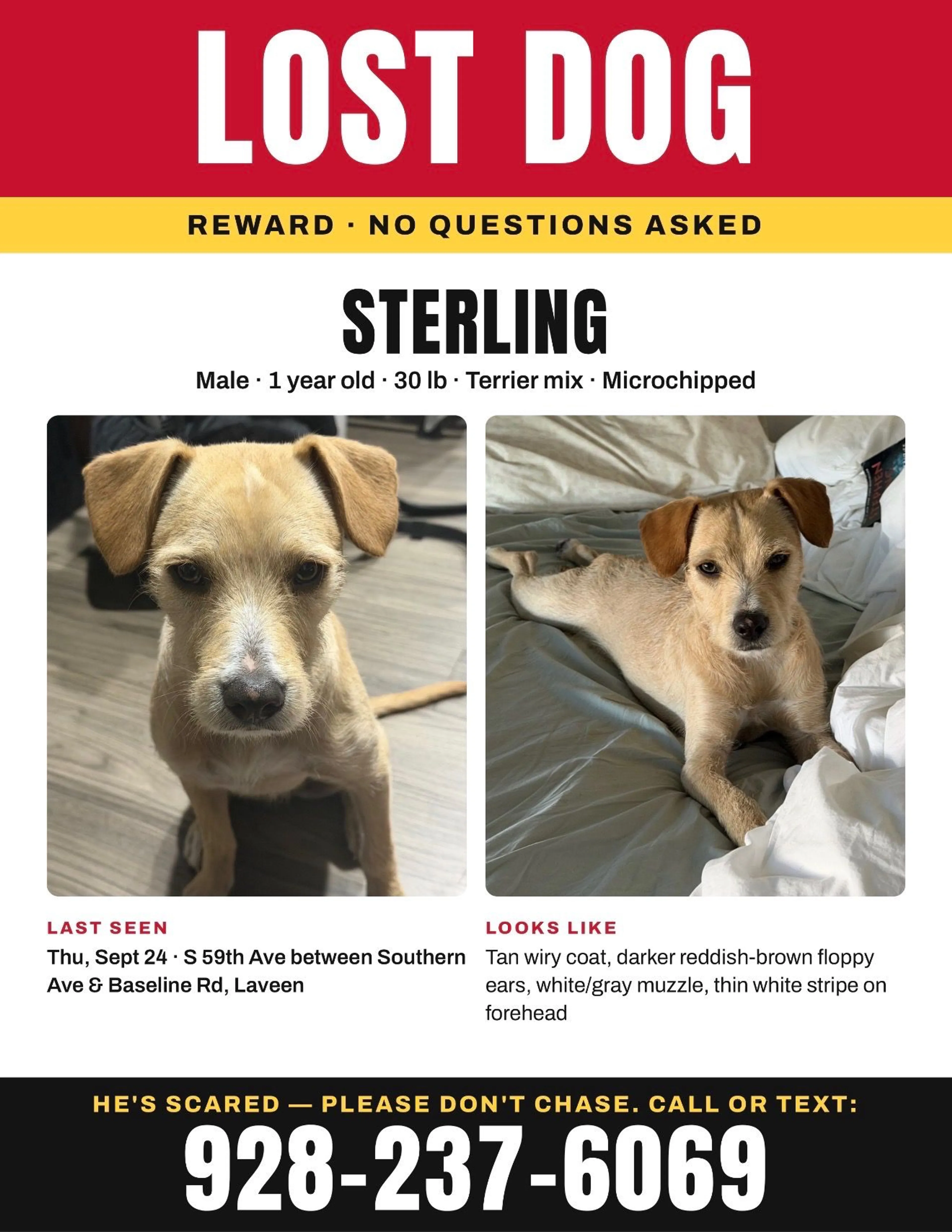 cdn image