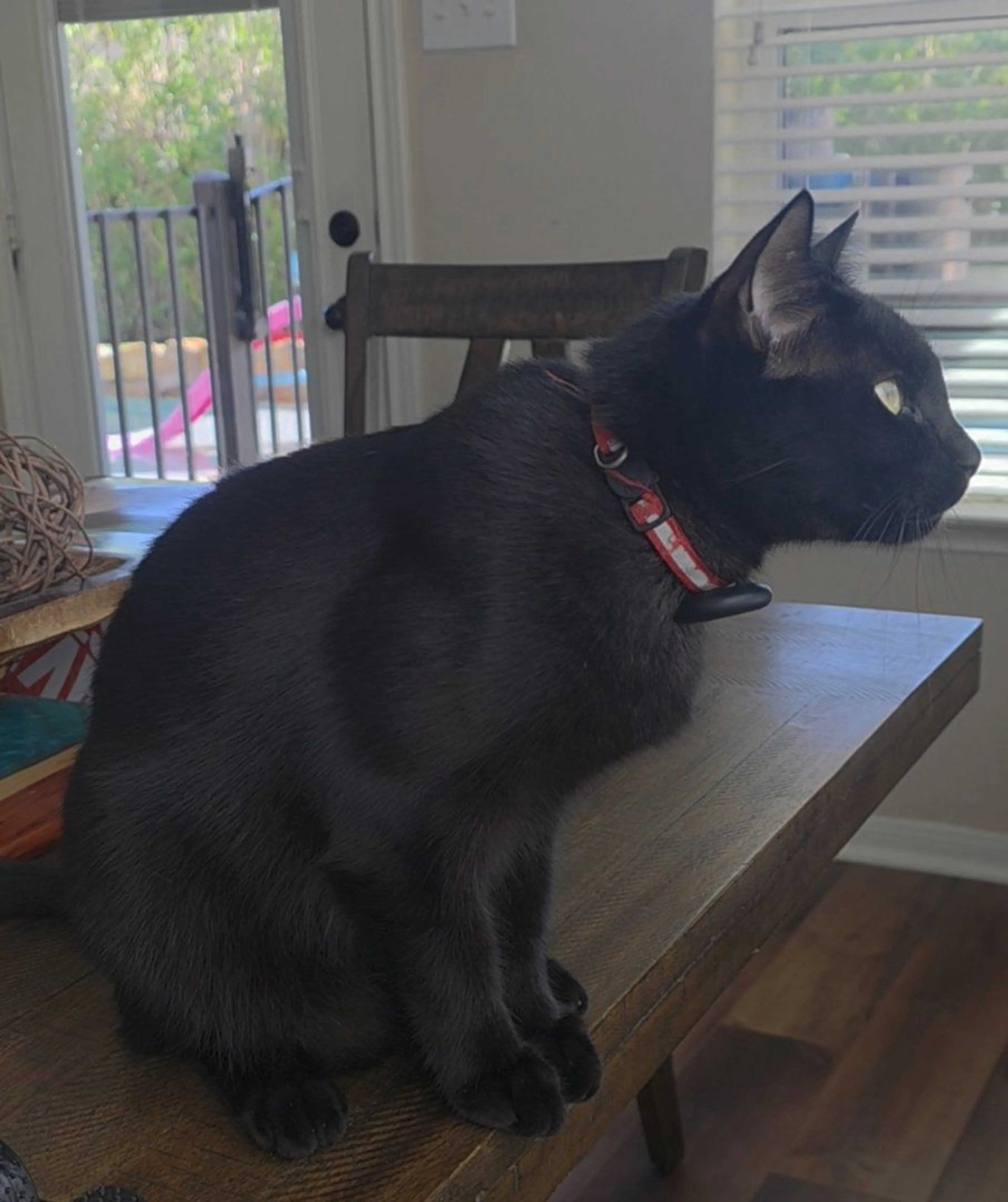 cdn image