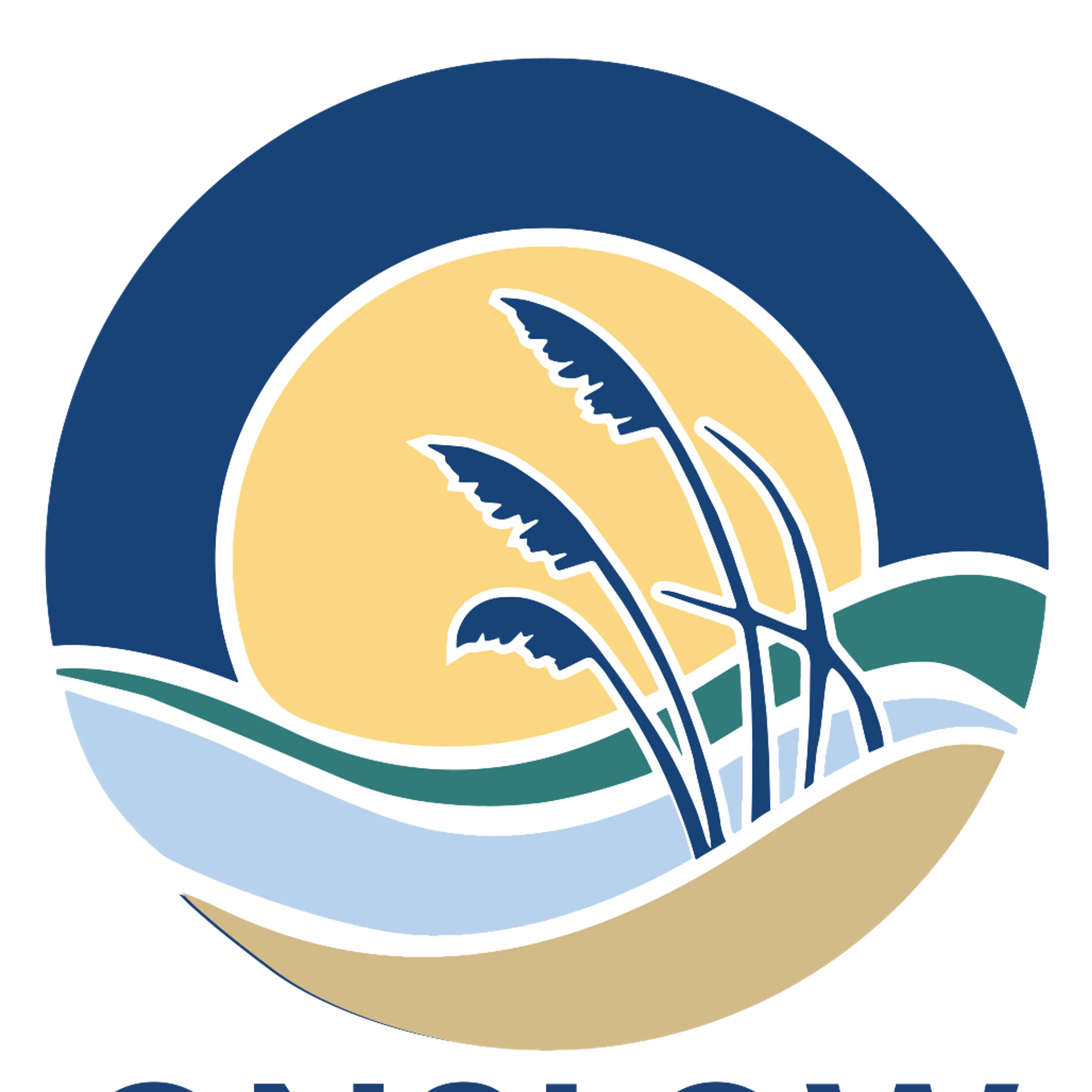 cdn image
