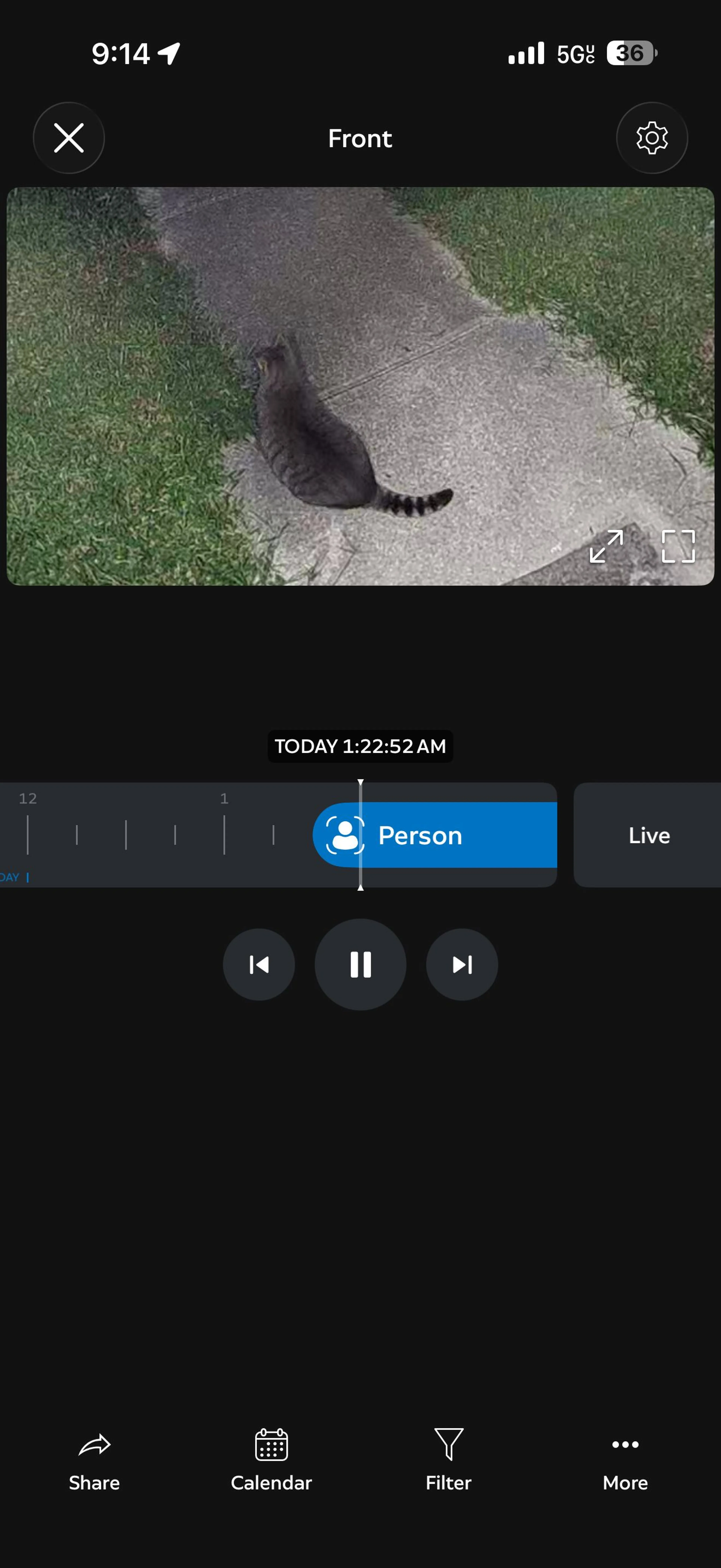 cdn image