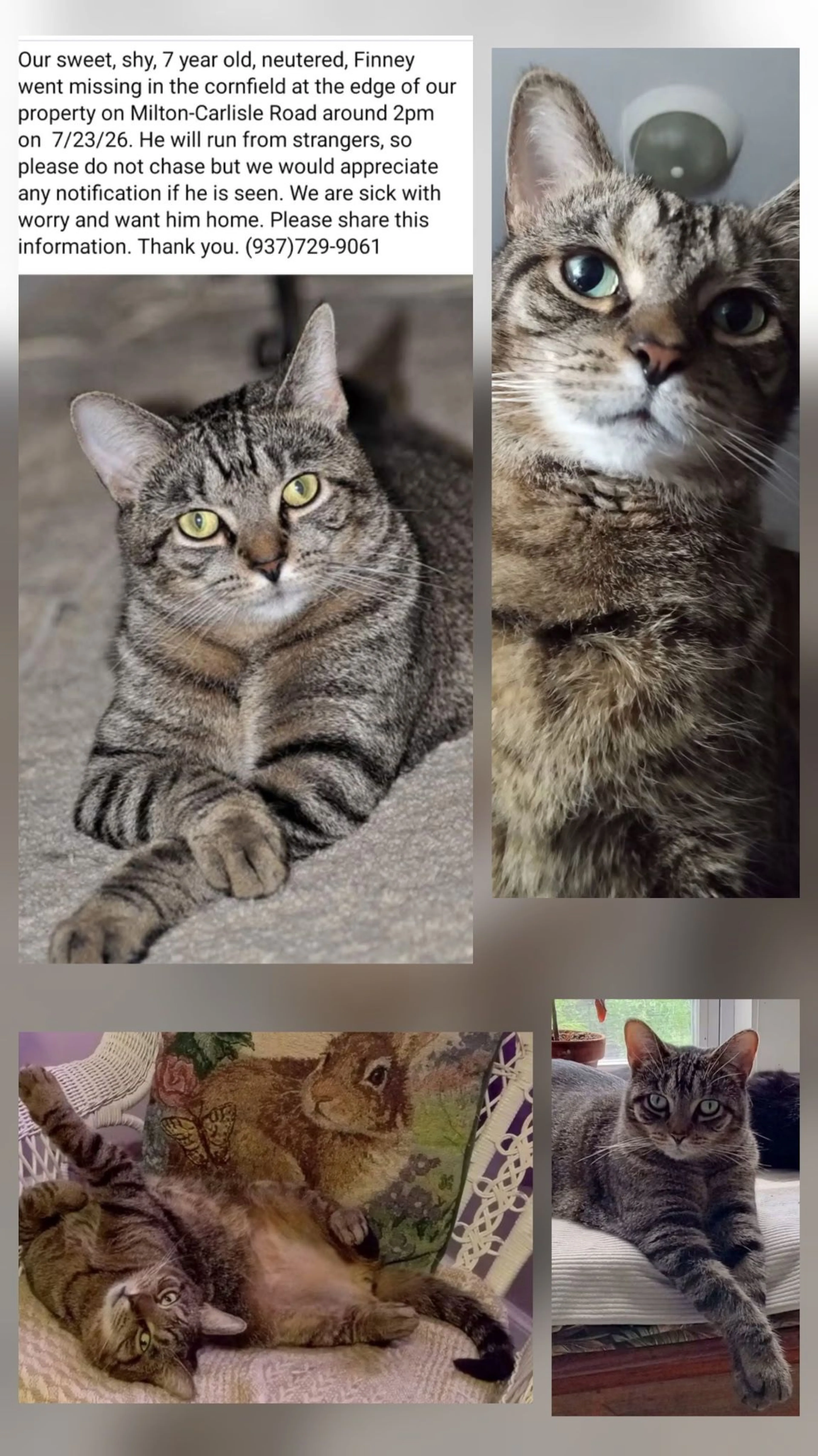 cdn image