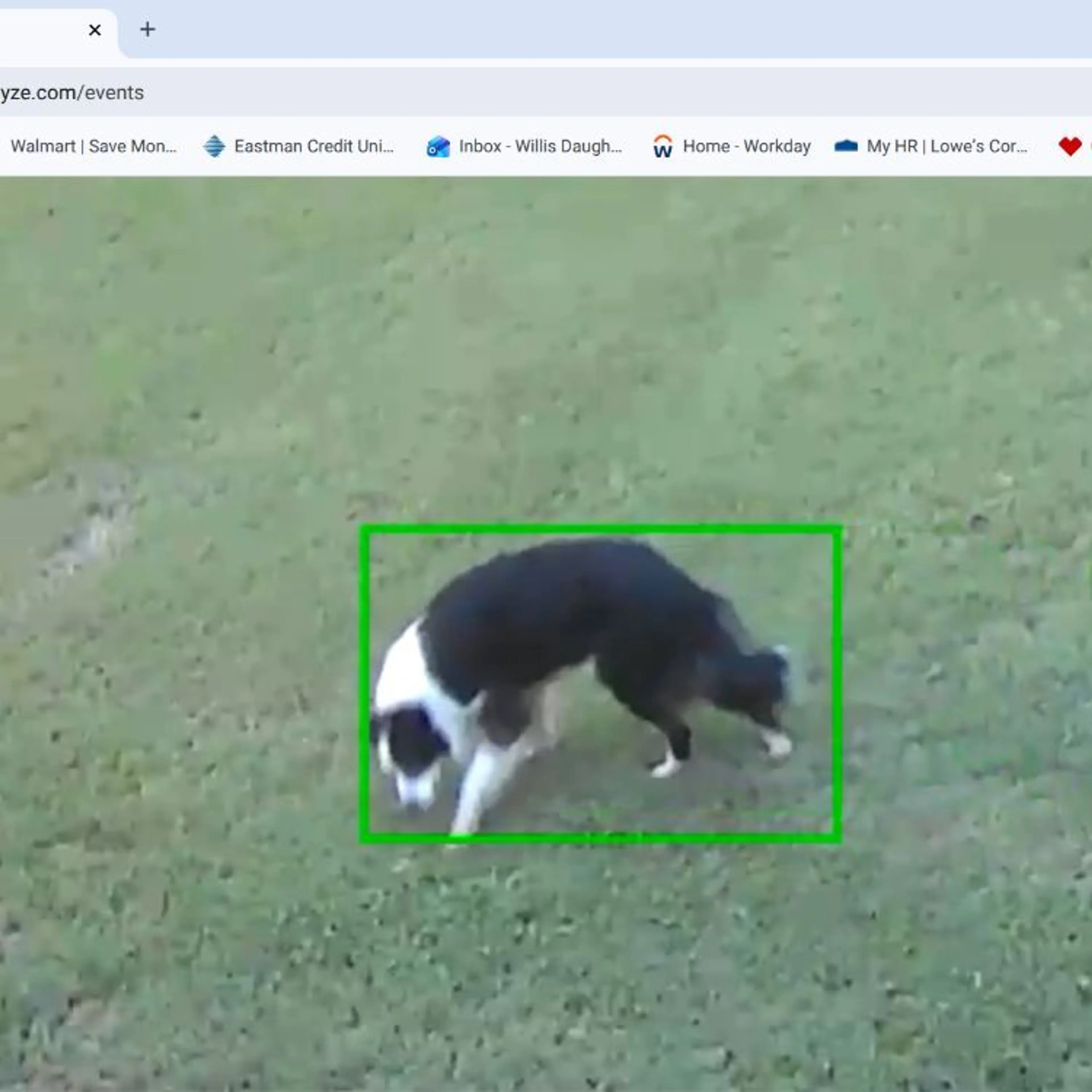 cdn image