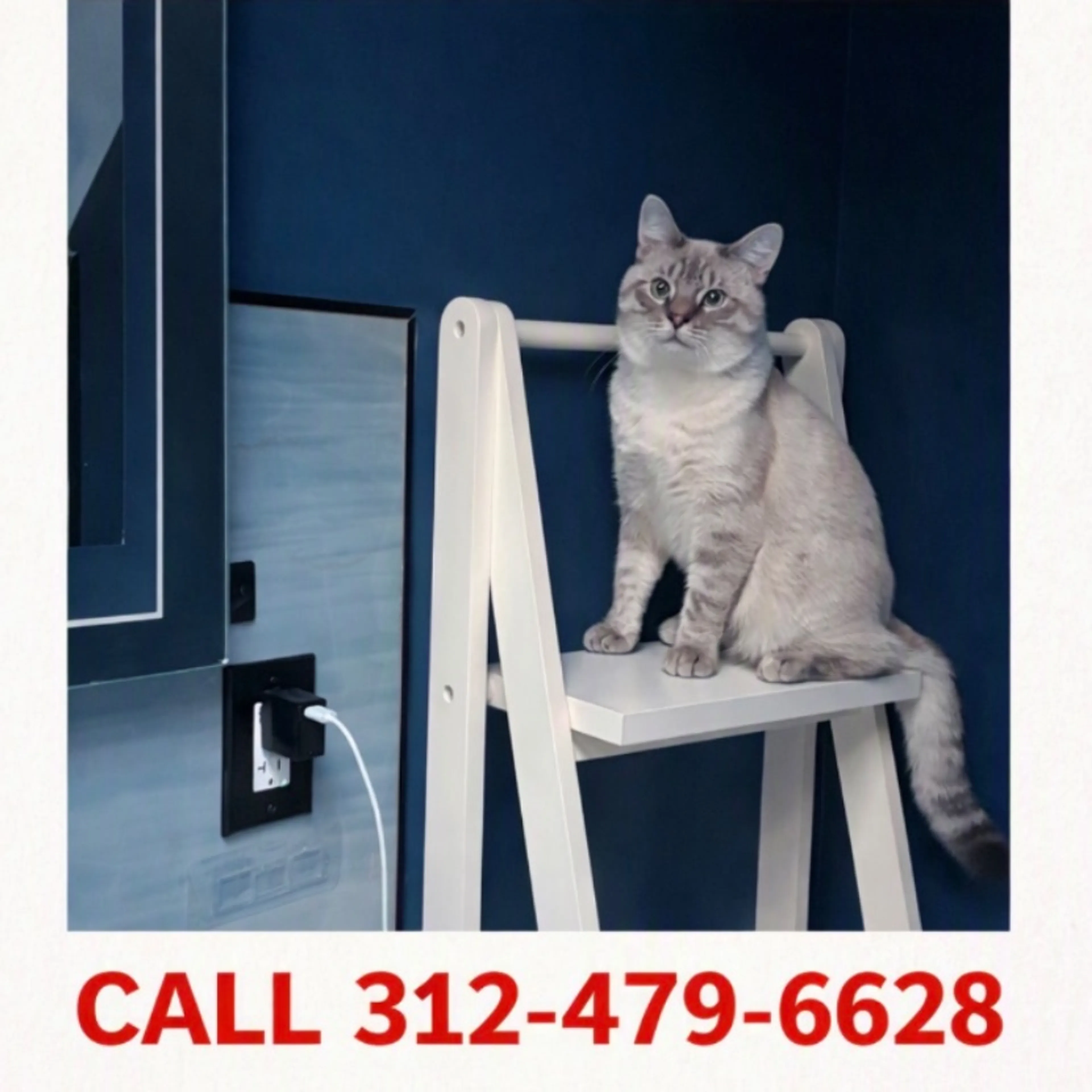 cdn image