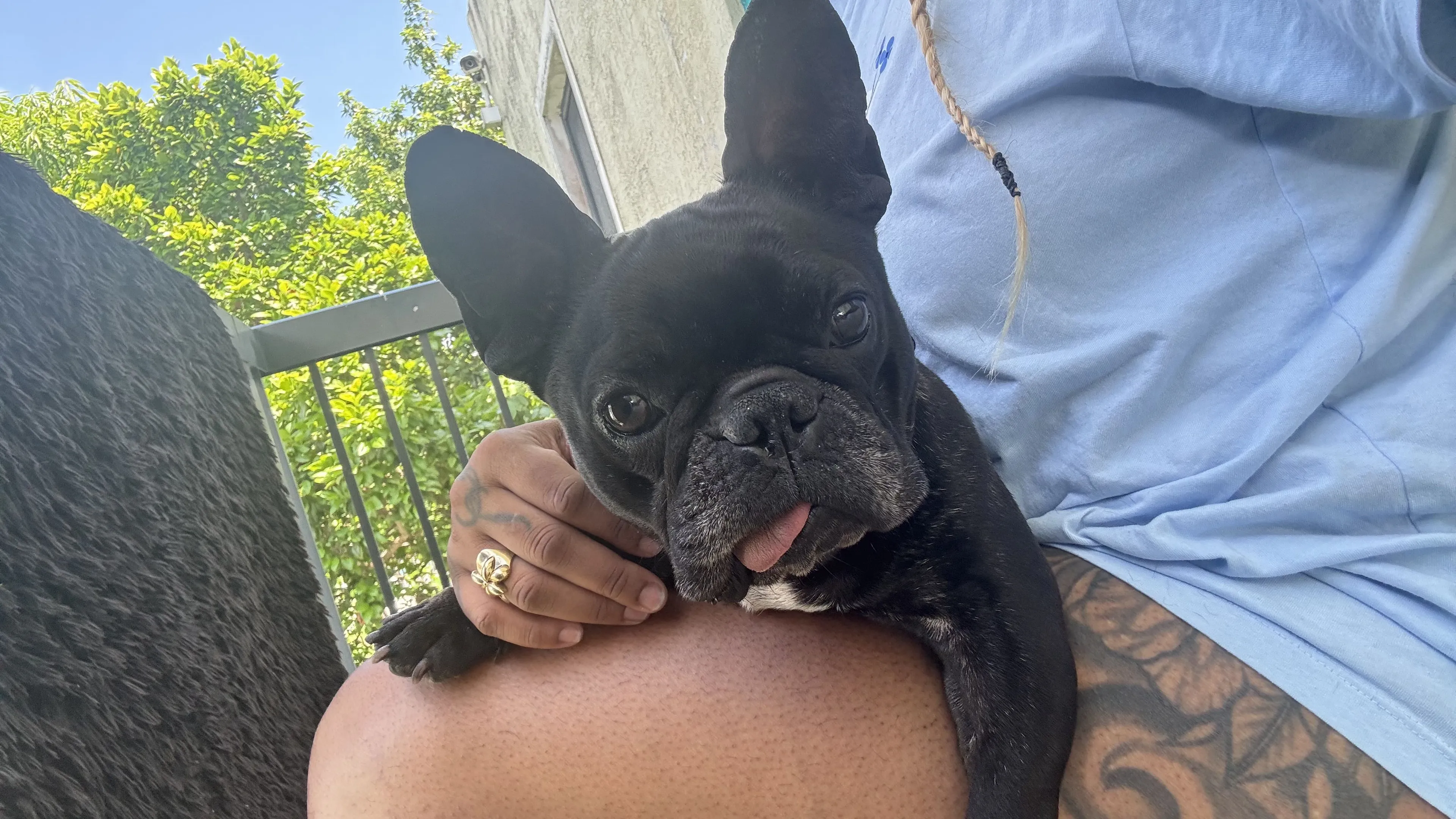 cdn image