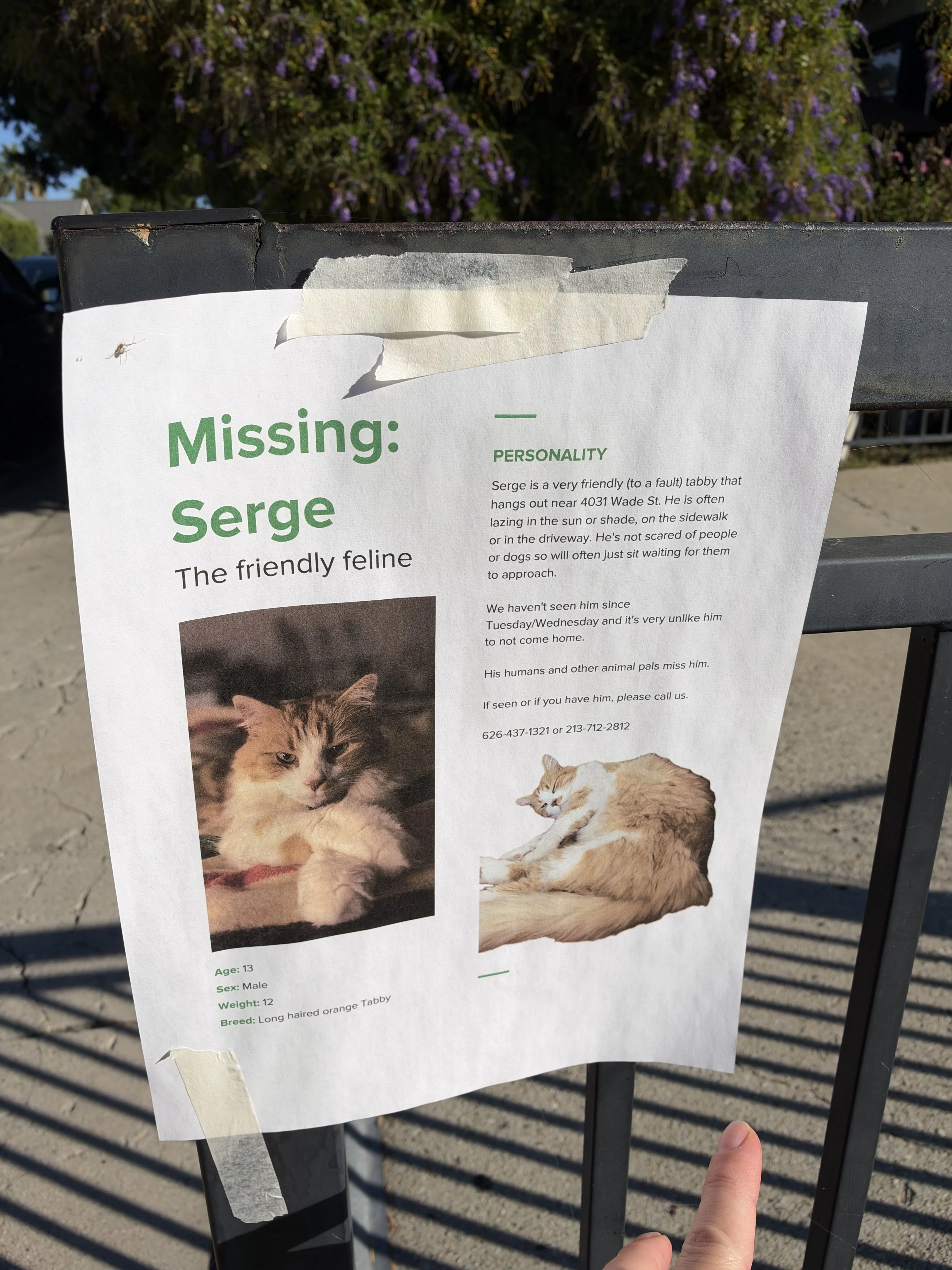 cdn image