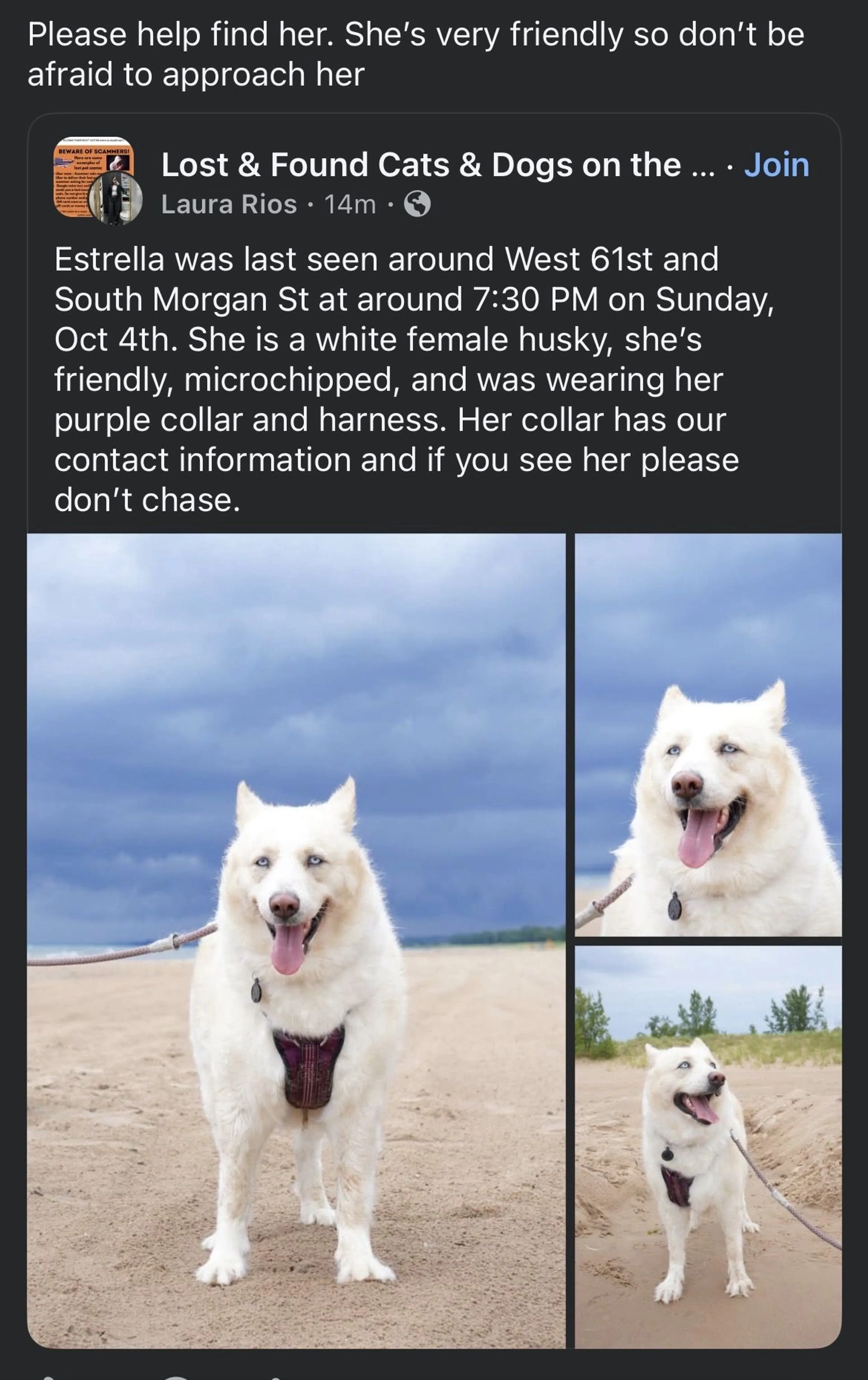 cdn image