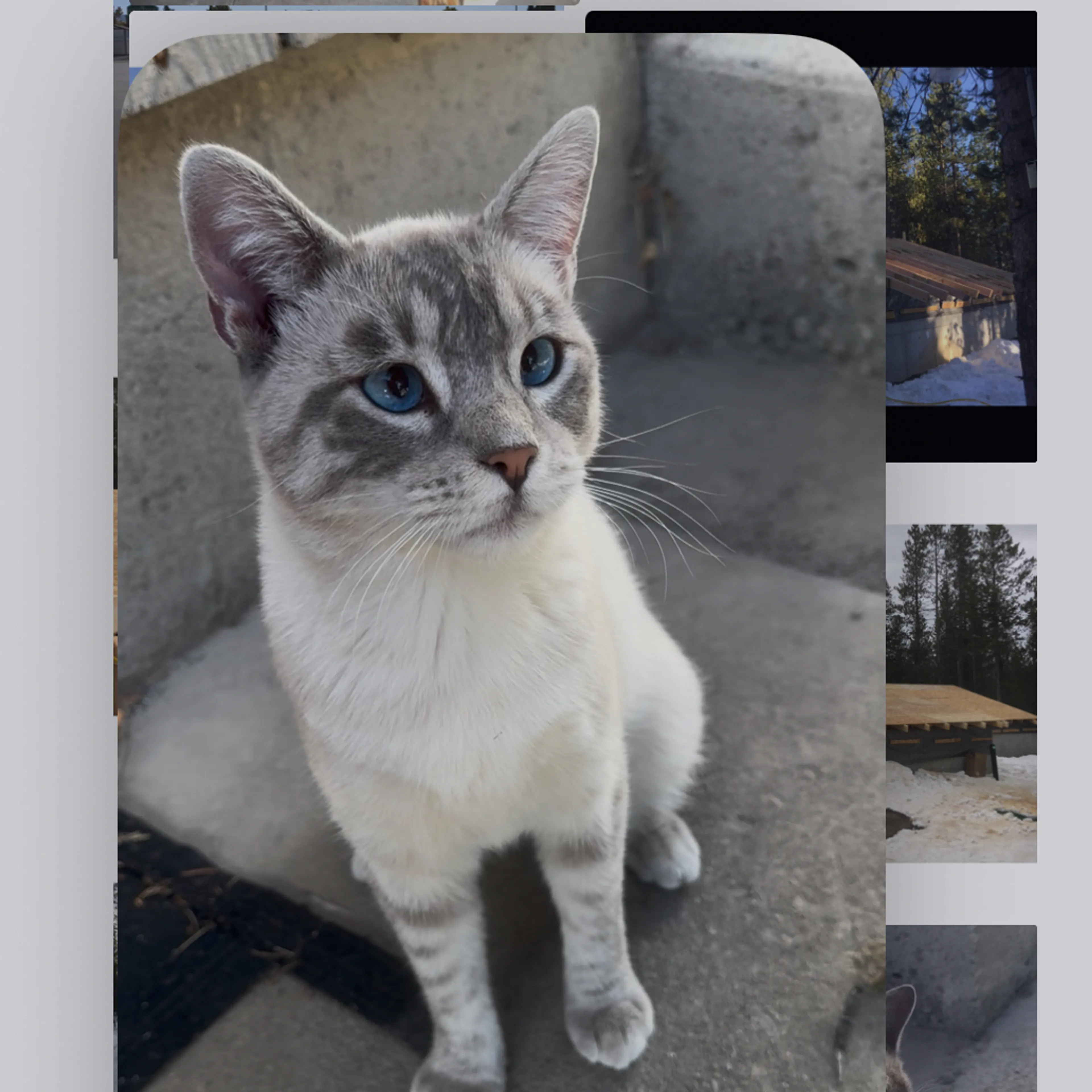 cdn image
