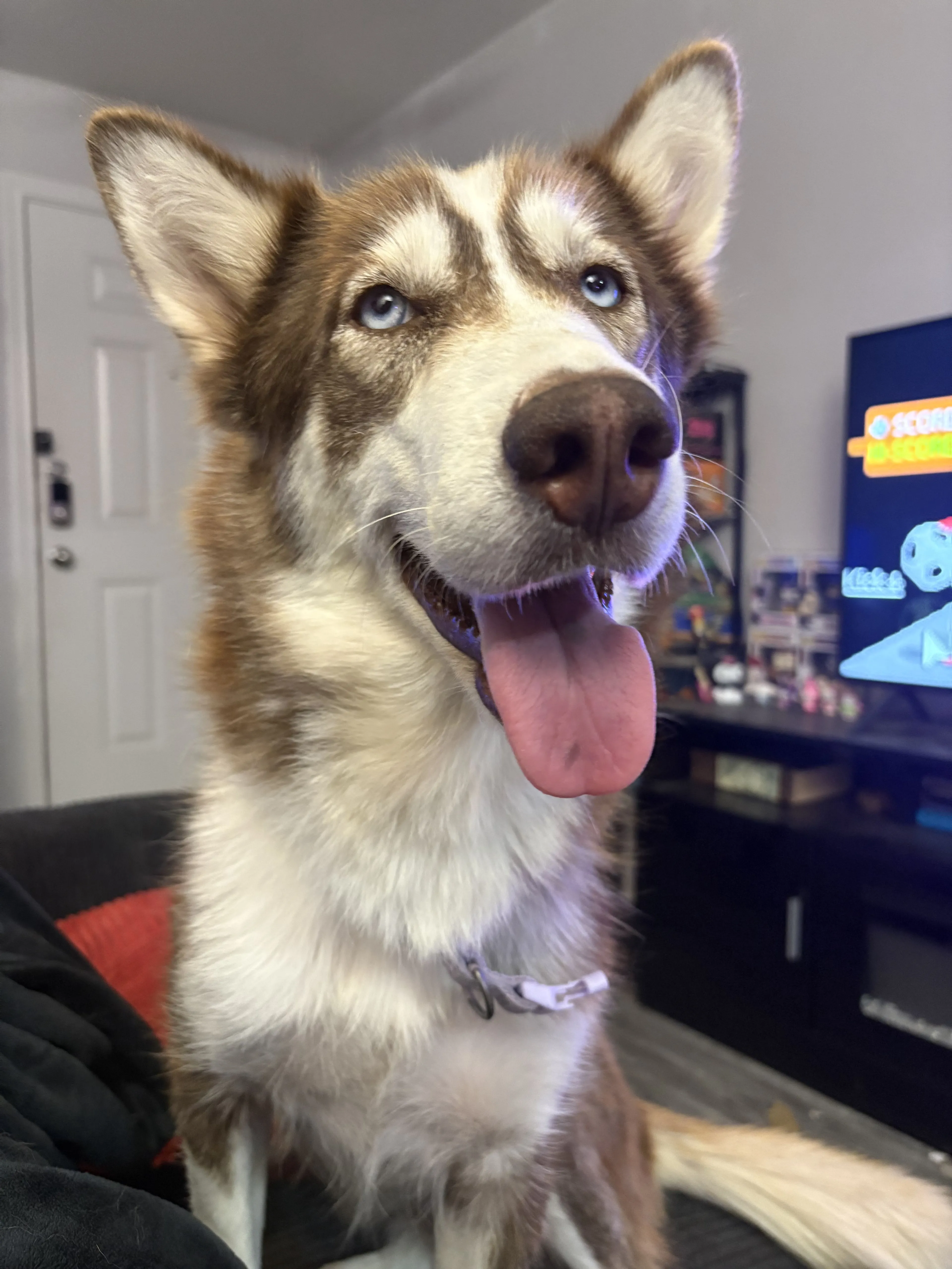 cdn image