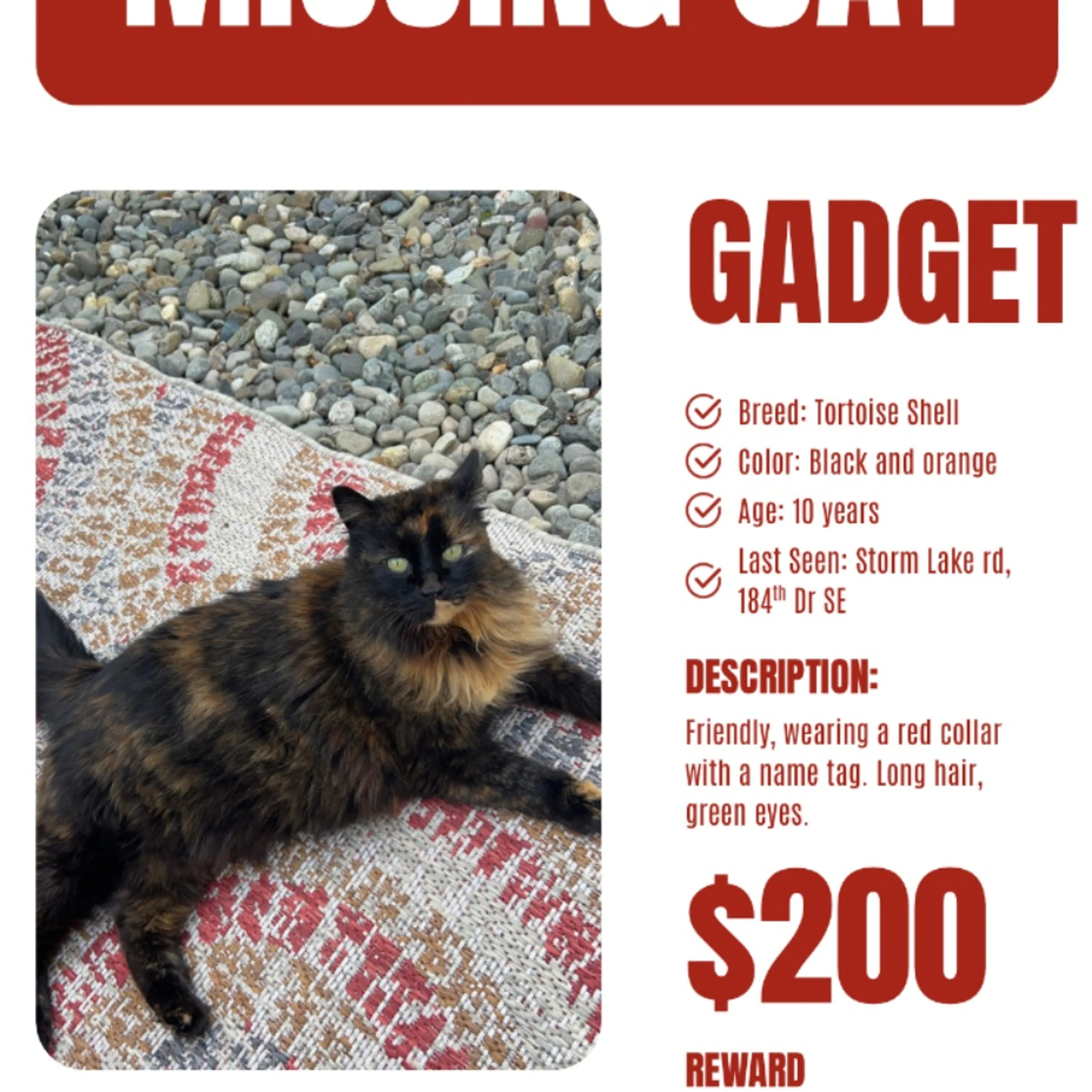 cdn image