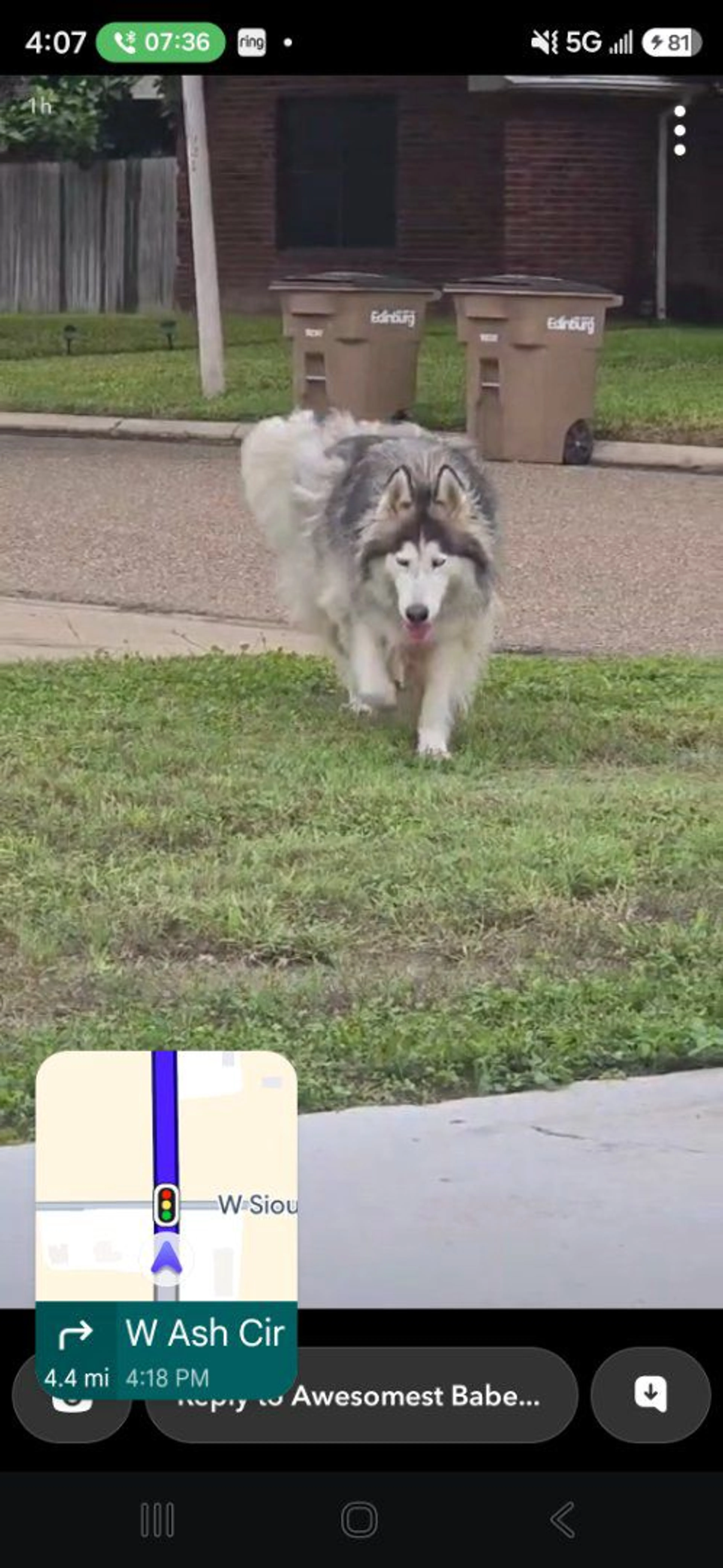 cdn image