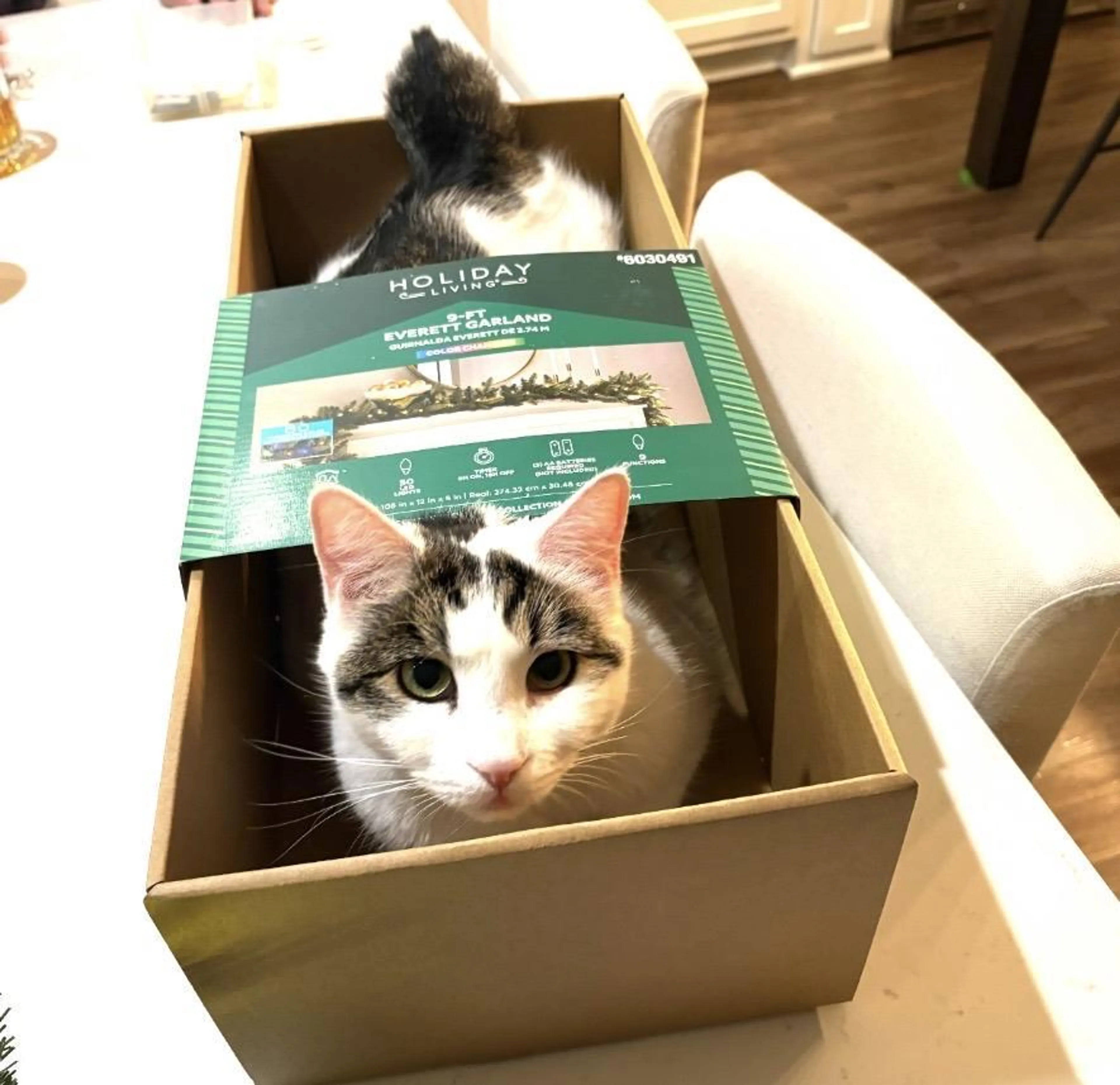 cdn image
