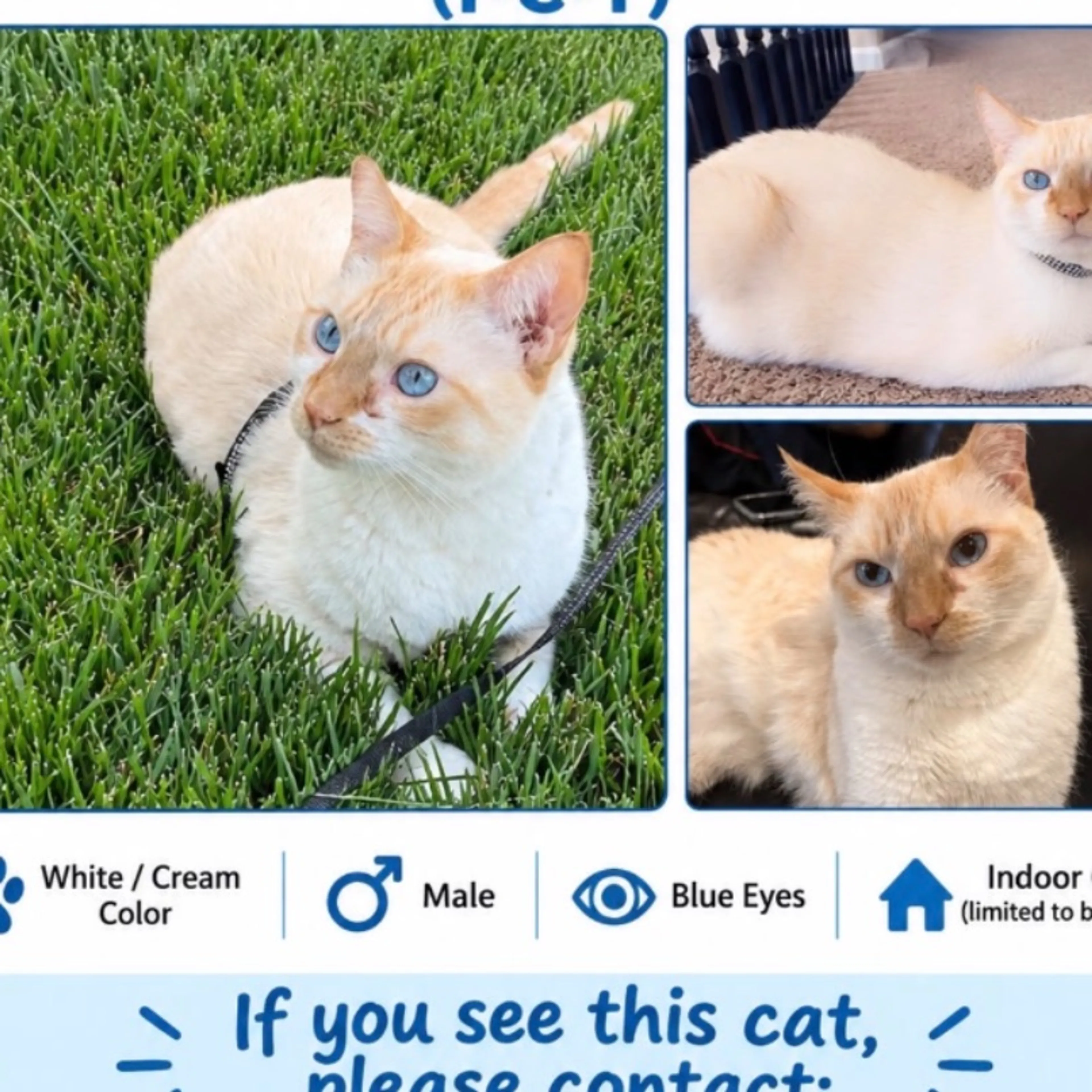 cdn image