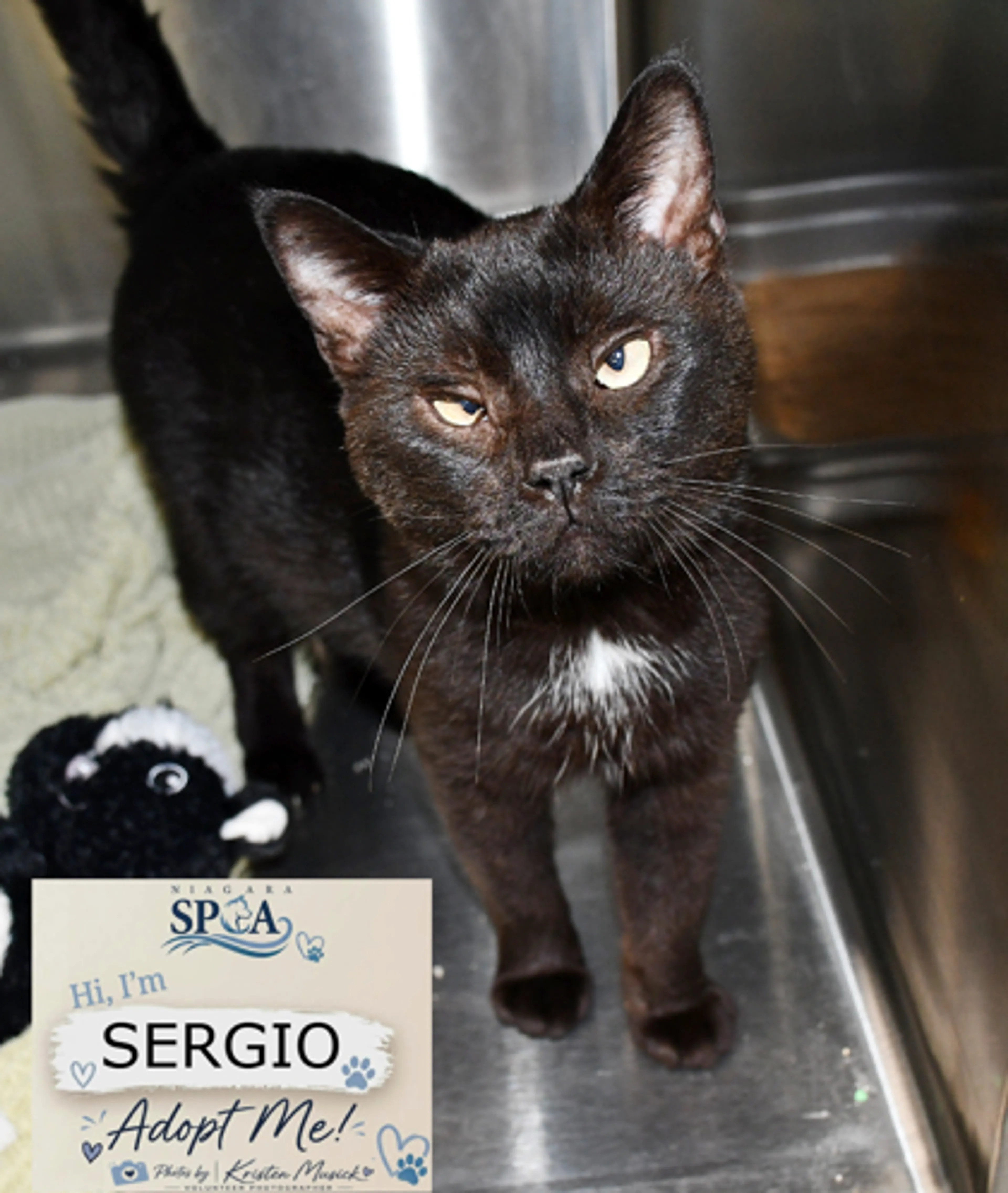 cdn image