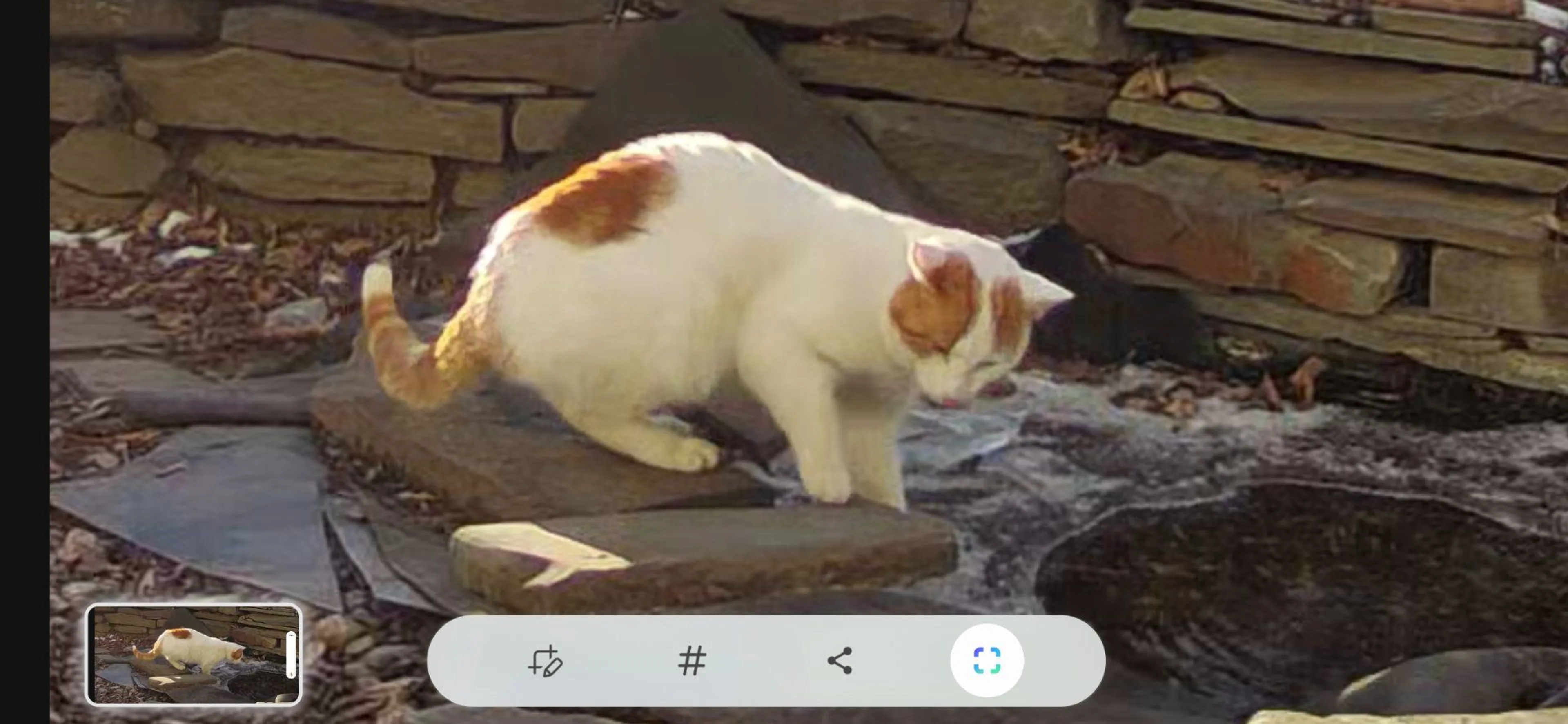 cdn image