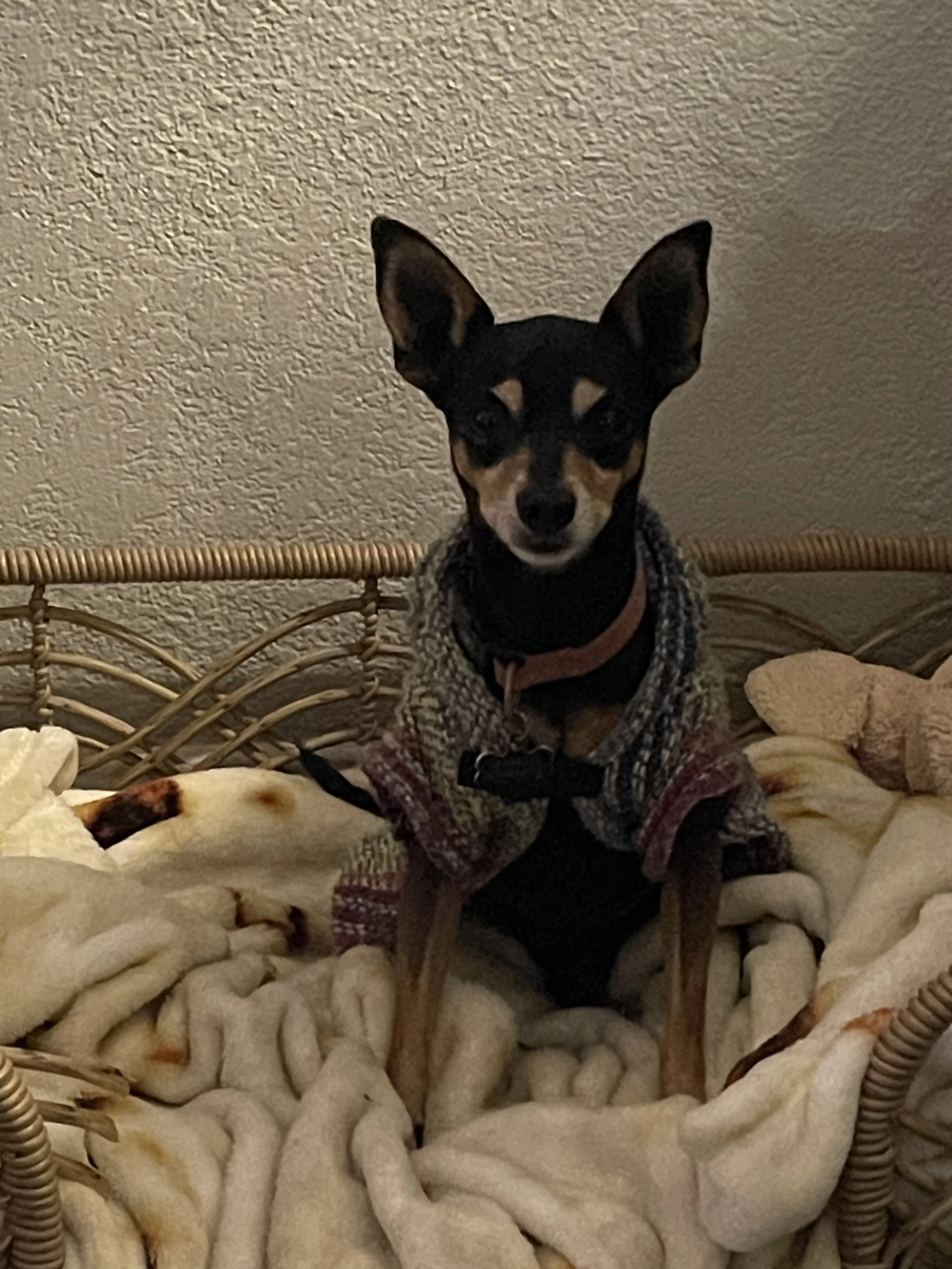 cdn image