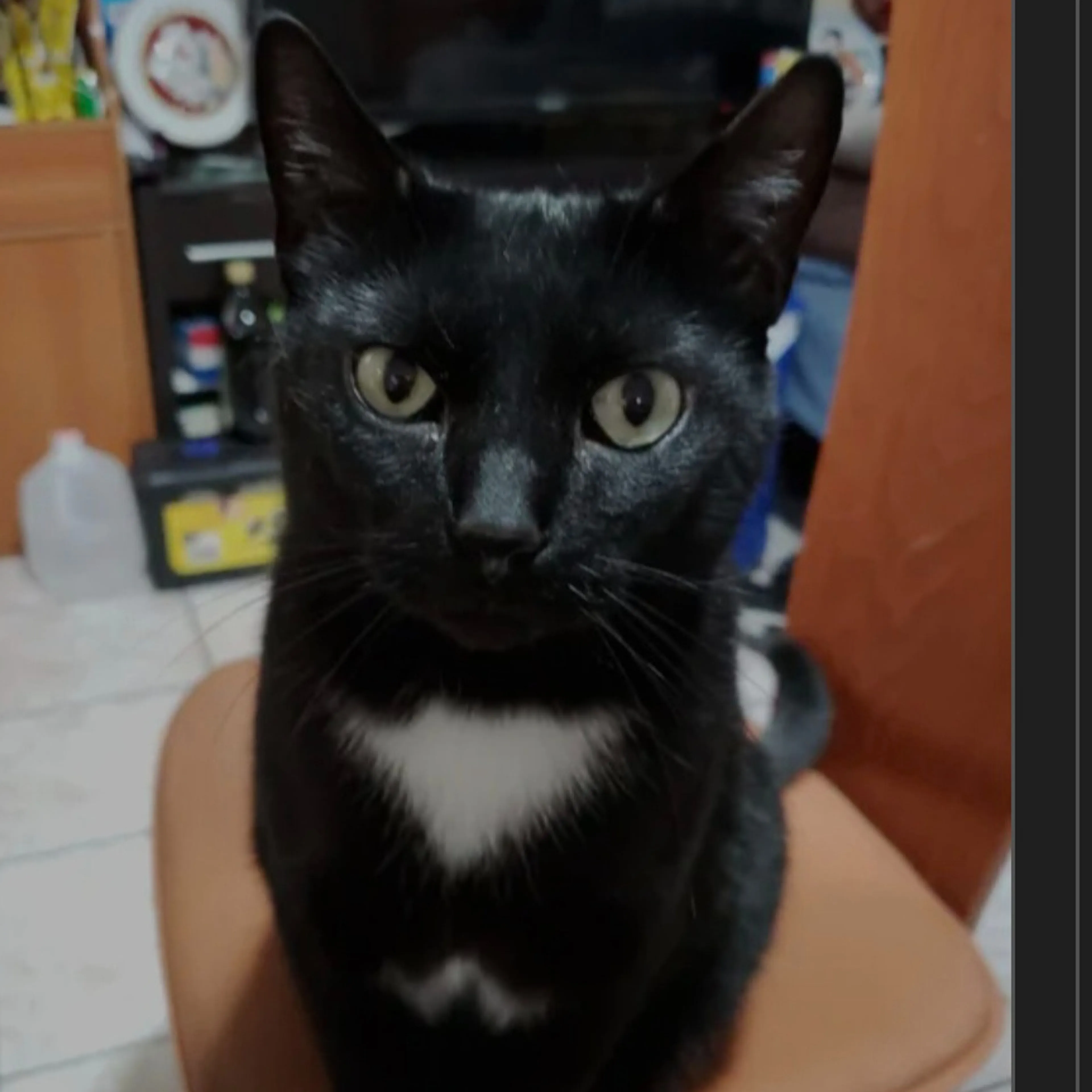 cdn image