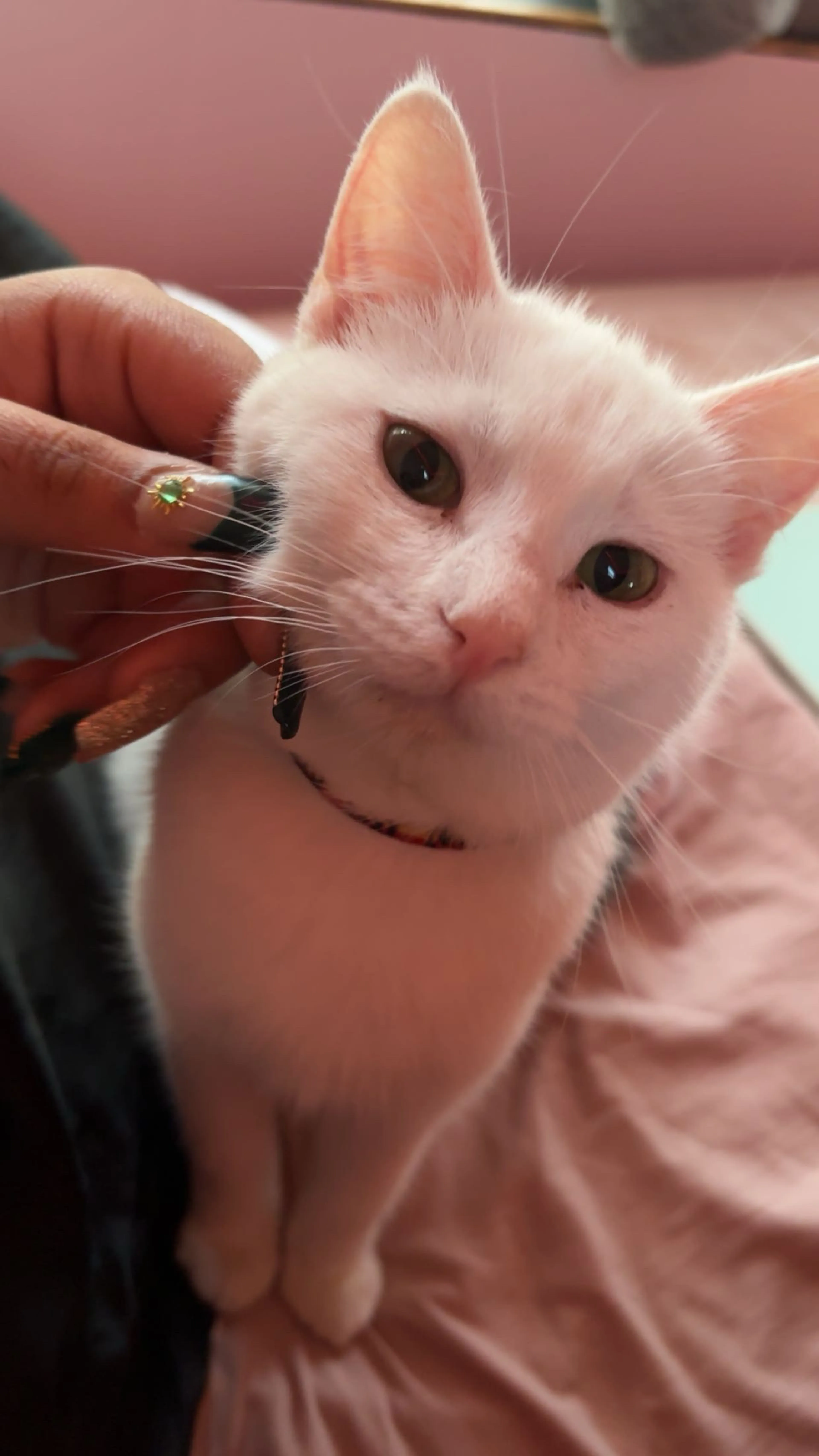 cdn image
