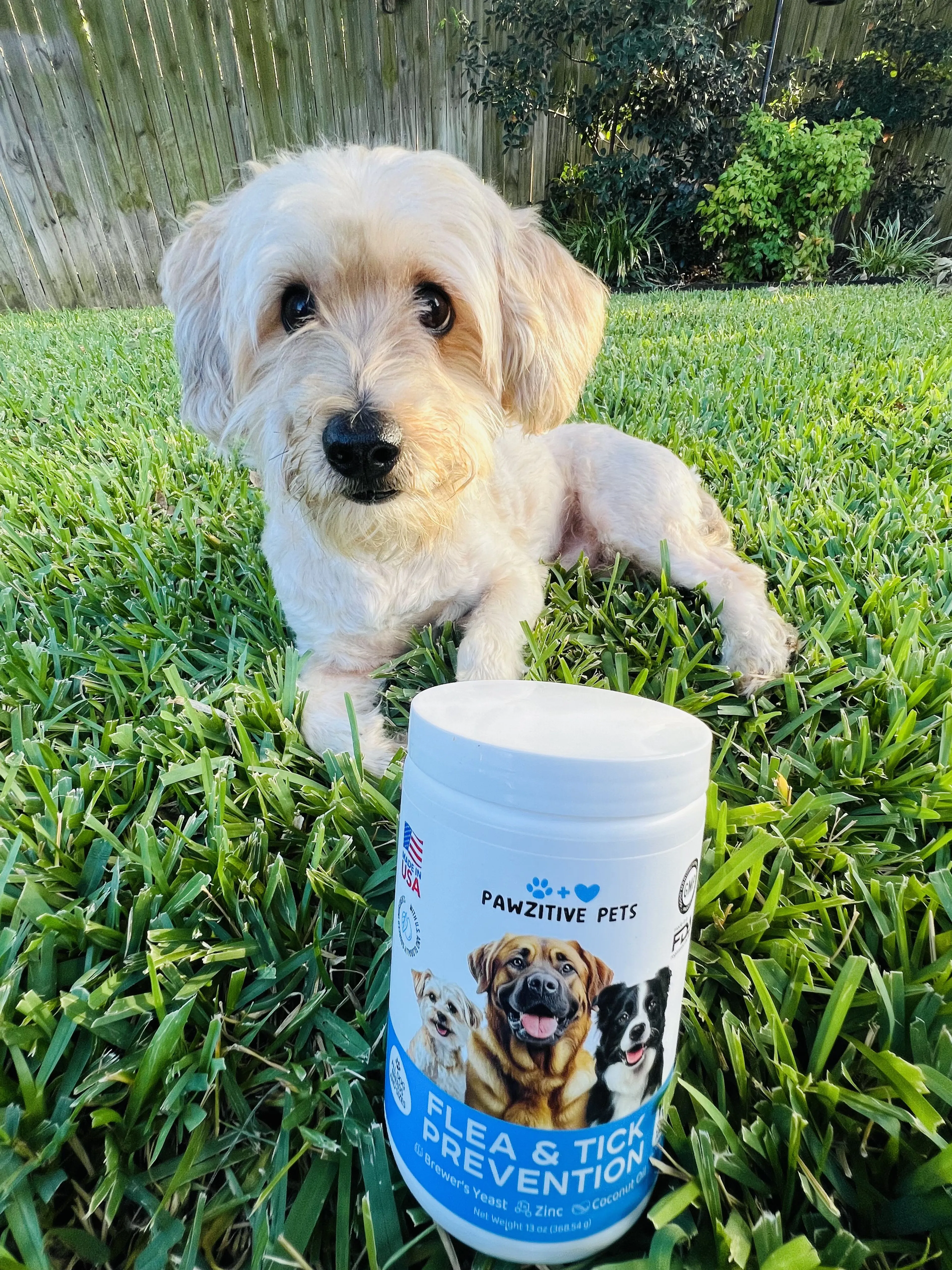 cdn image