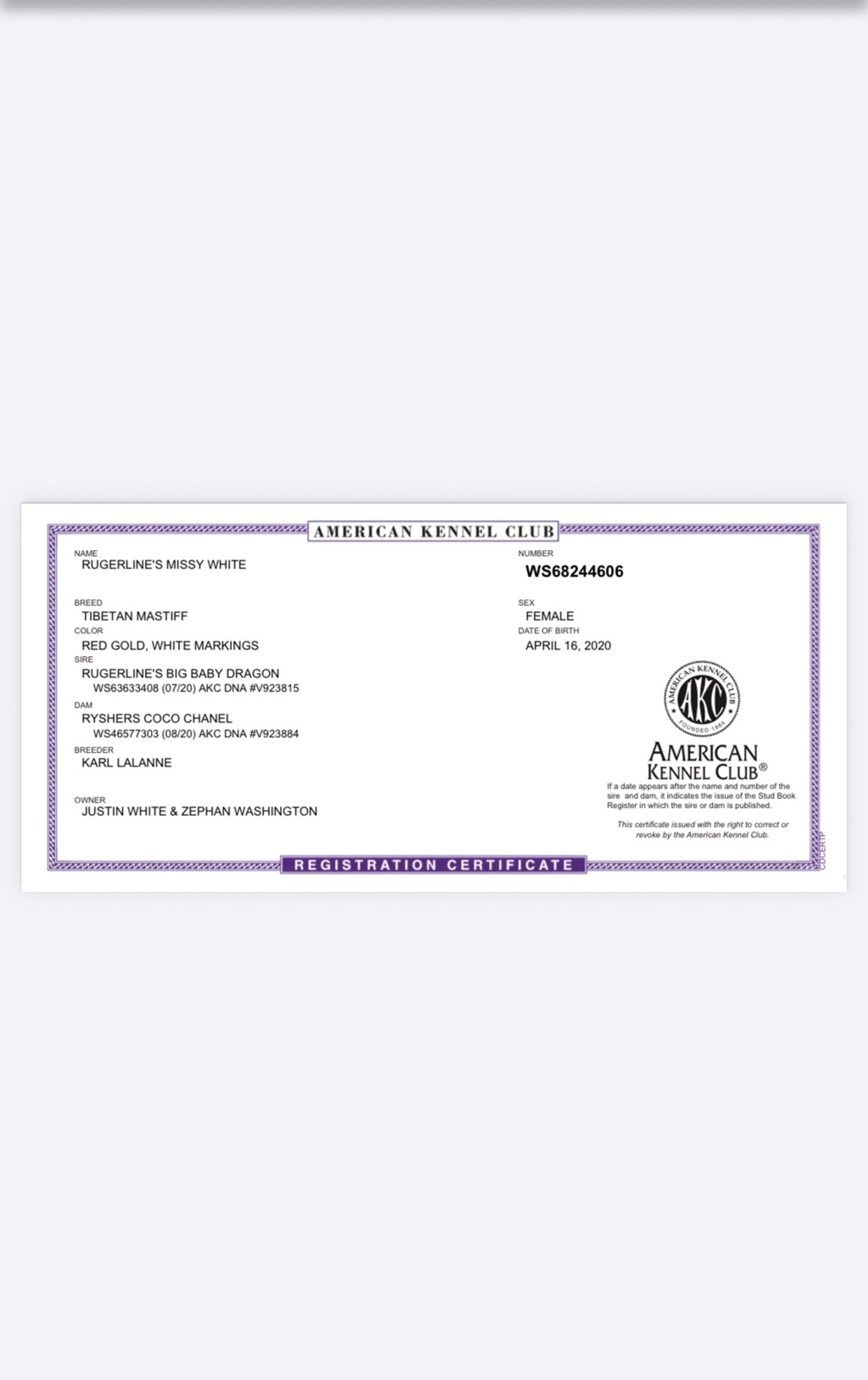 cdn image