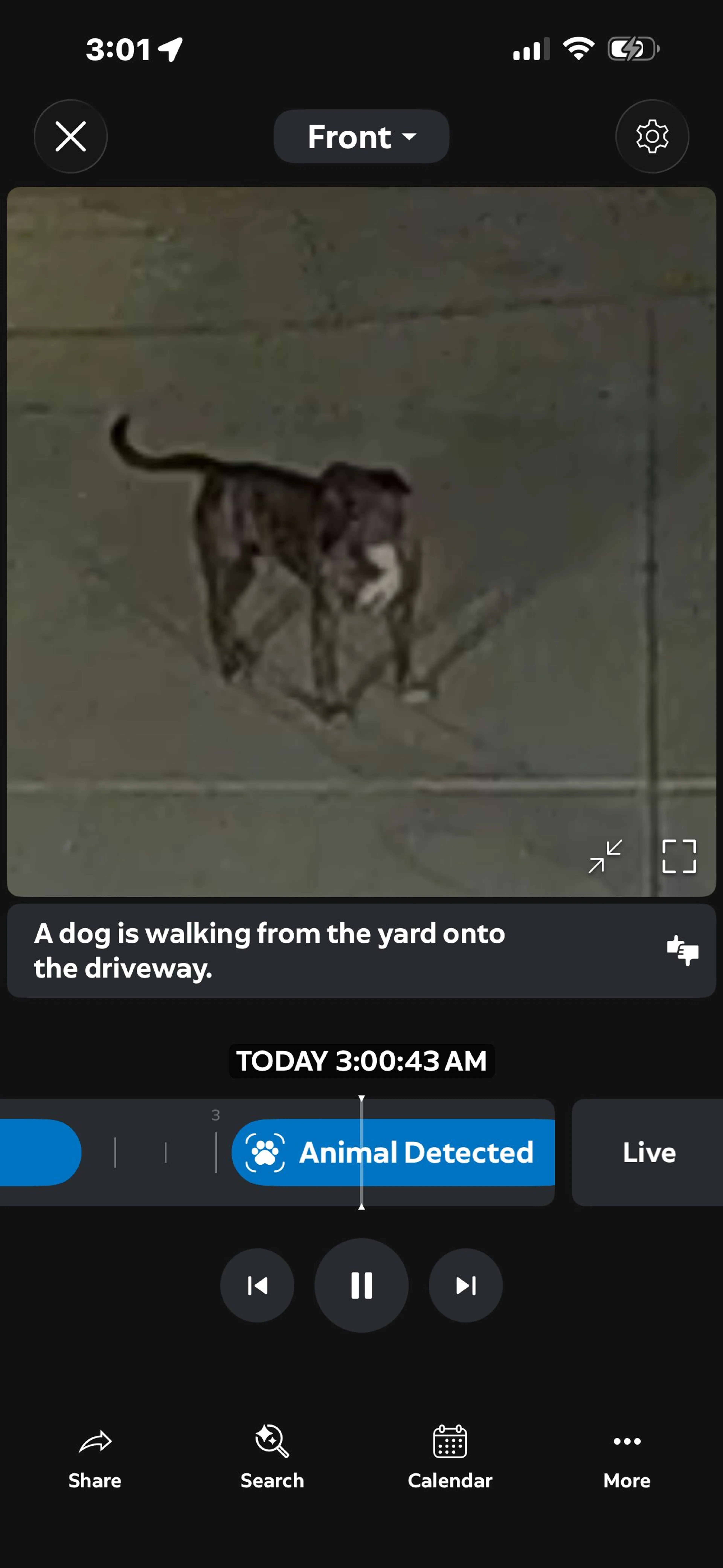cdn image