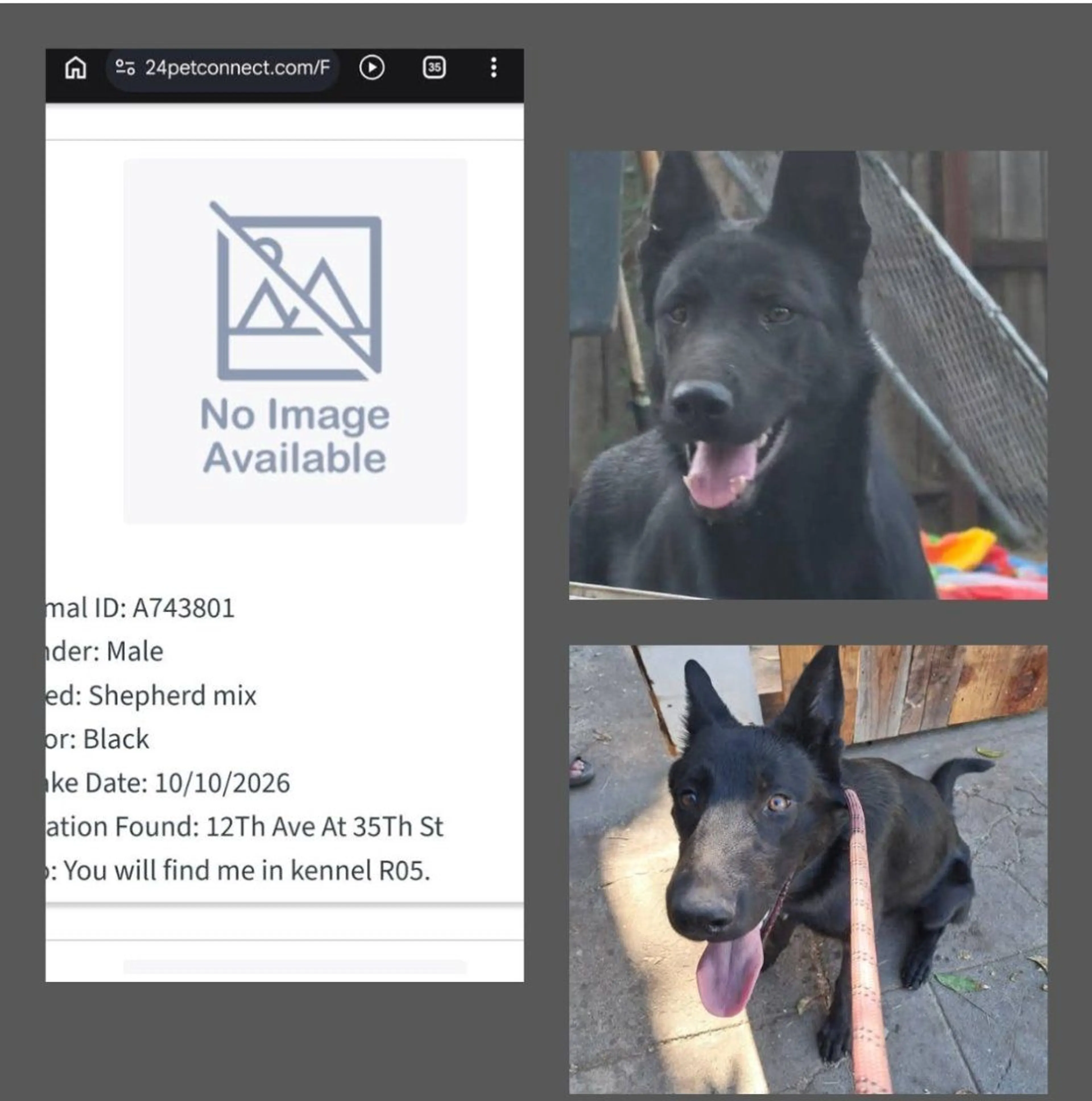 cdn image