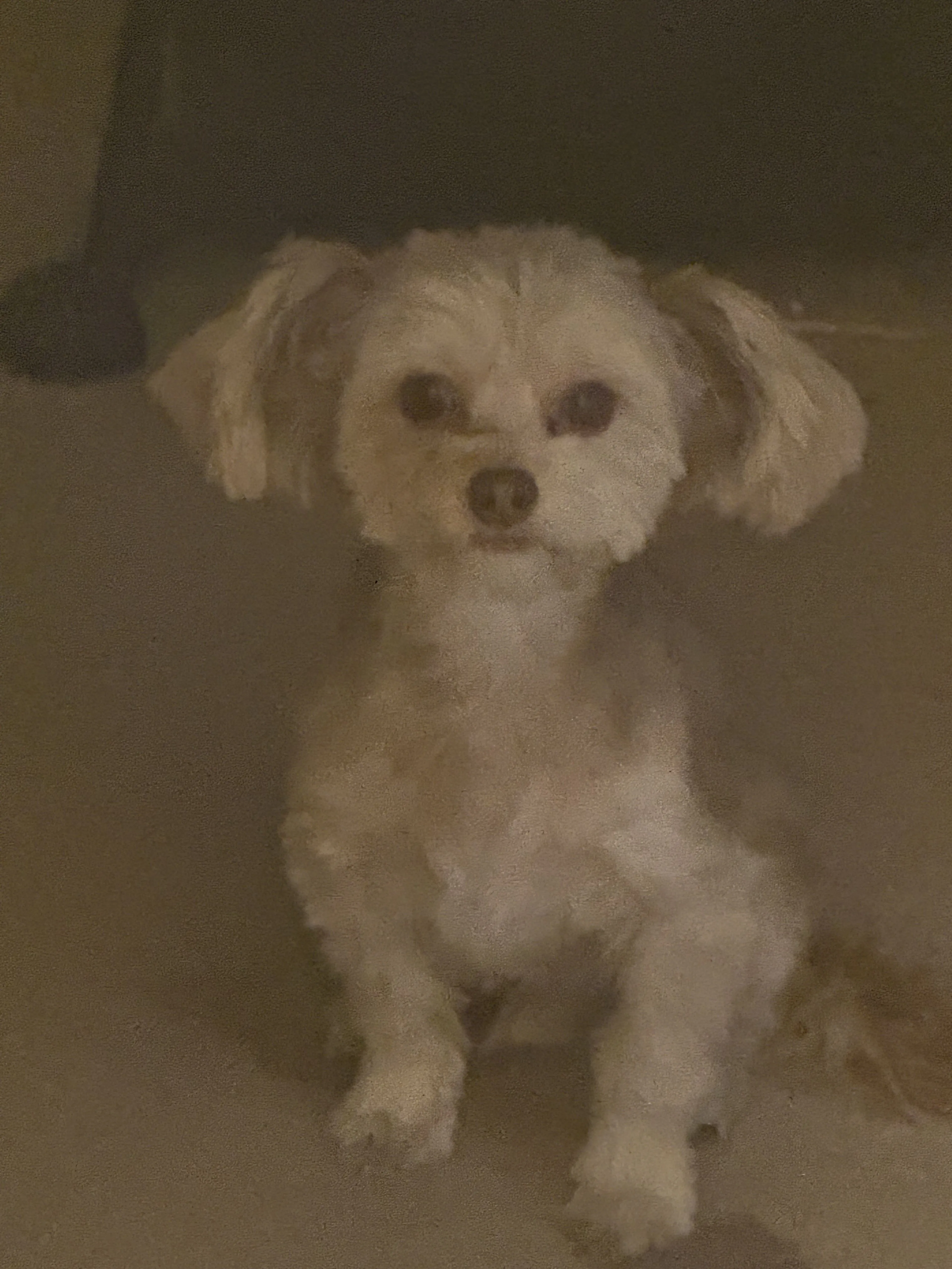 cdn image