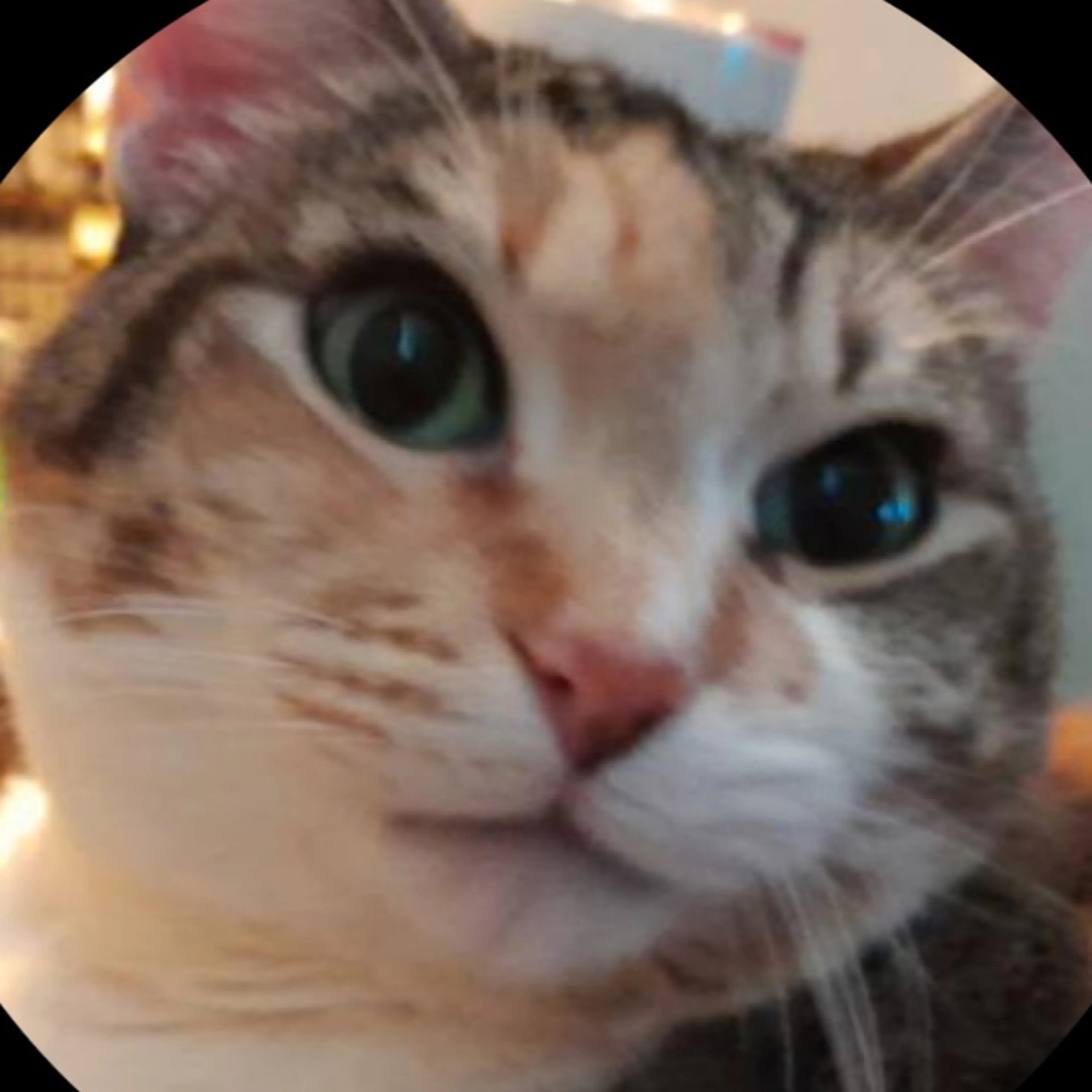 cdn image