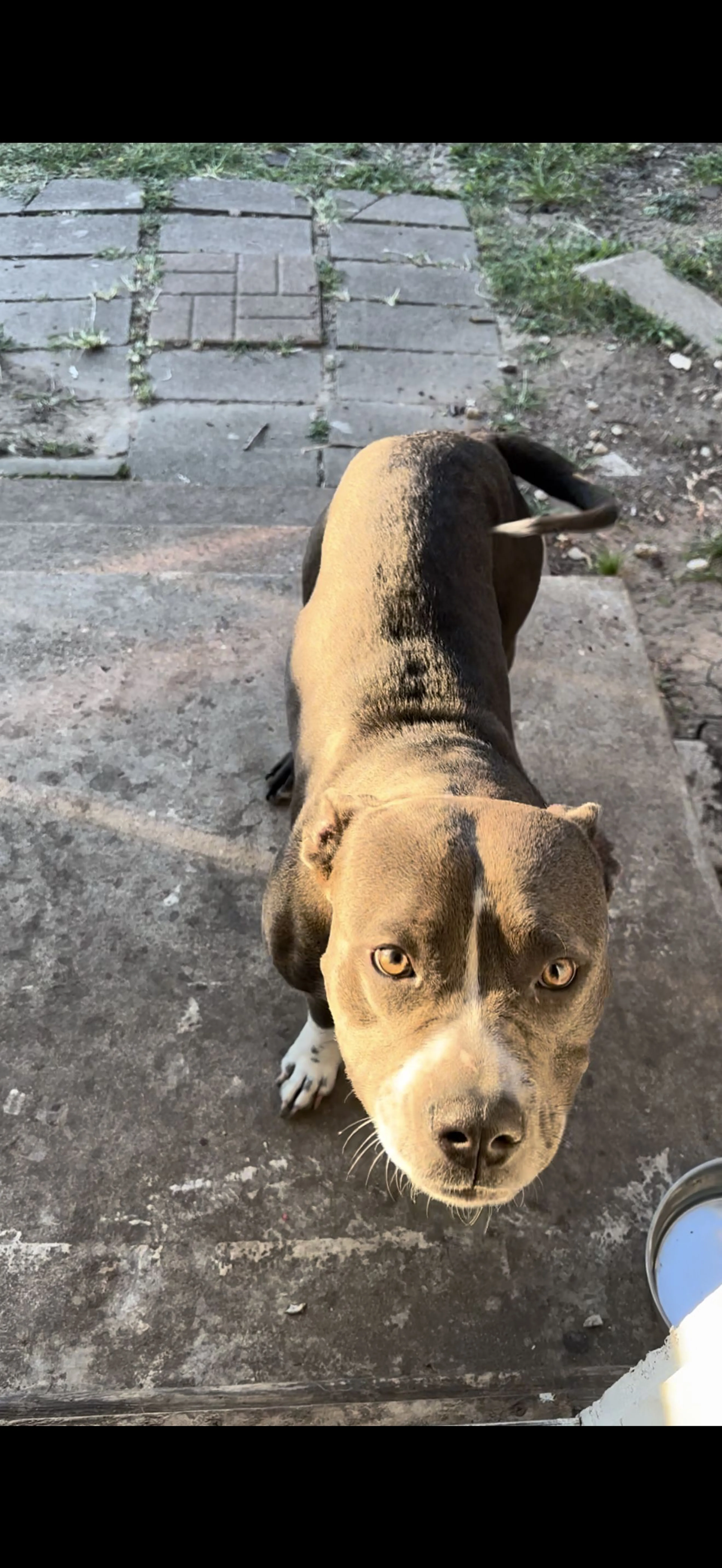 cdn image