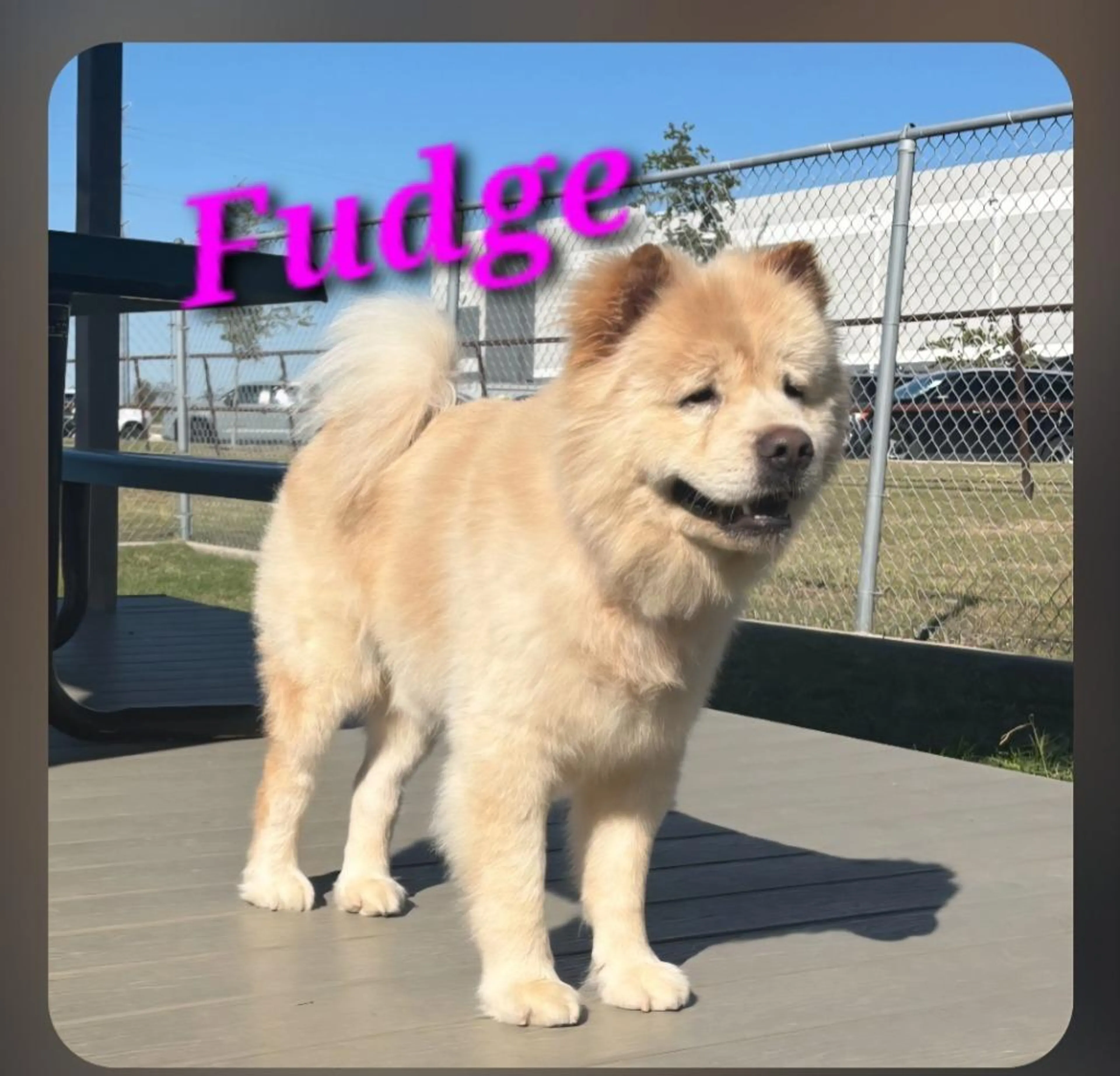cdn image