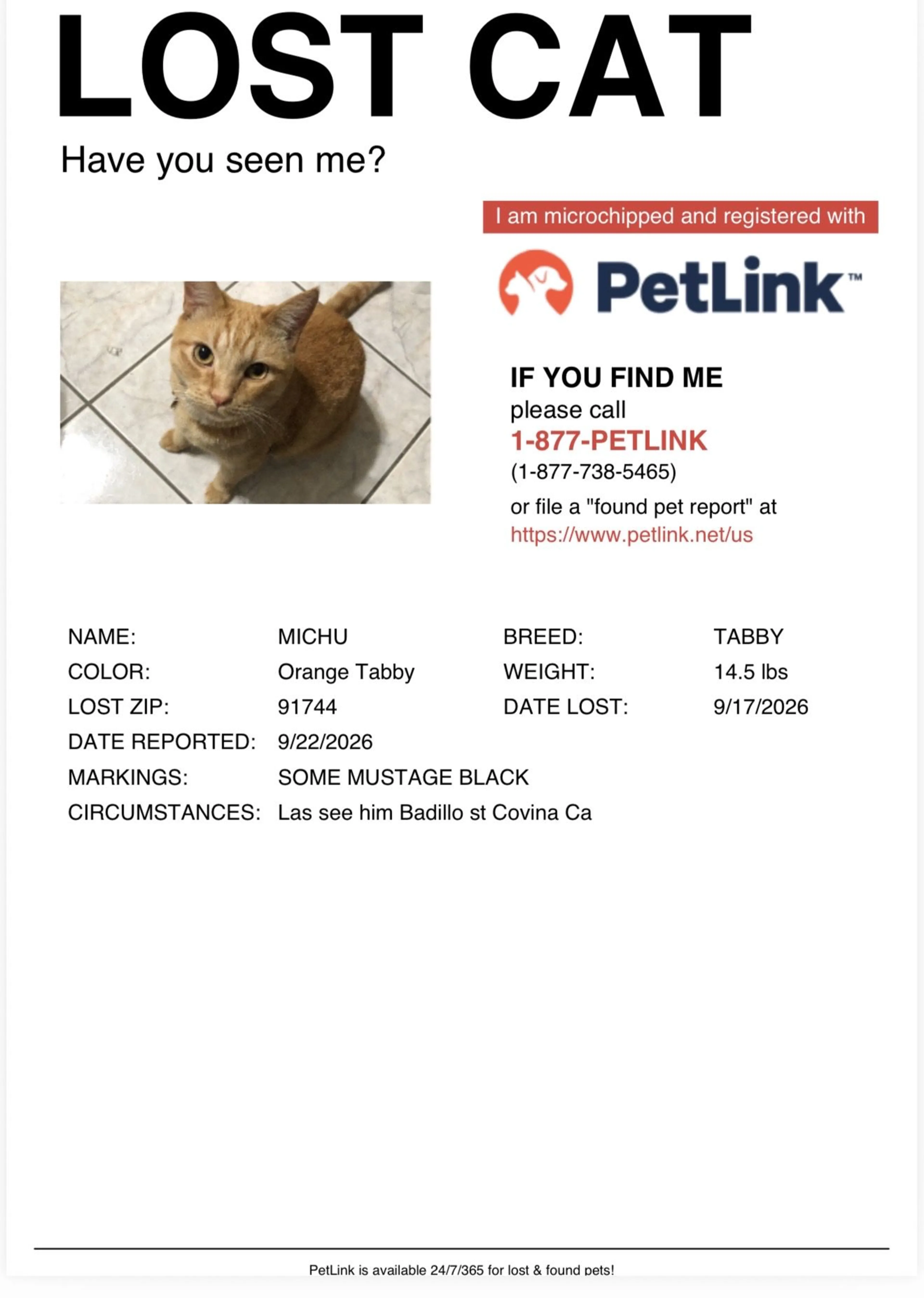 cdn image