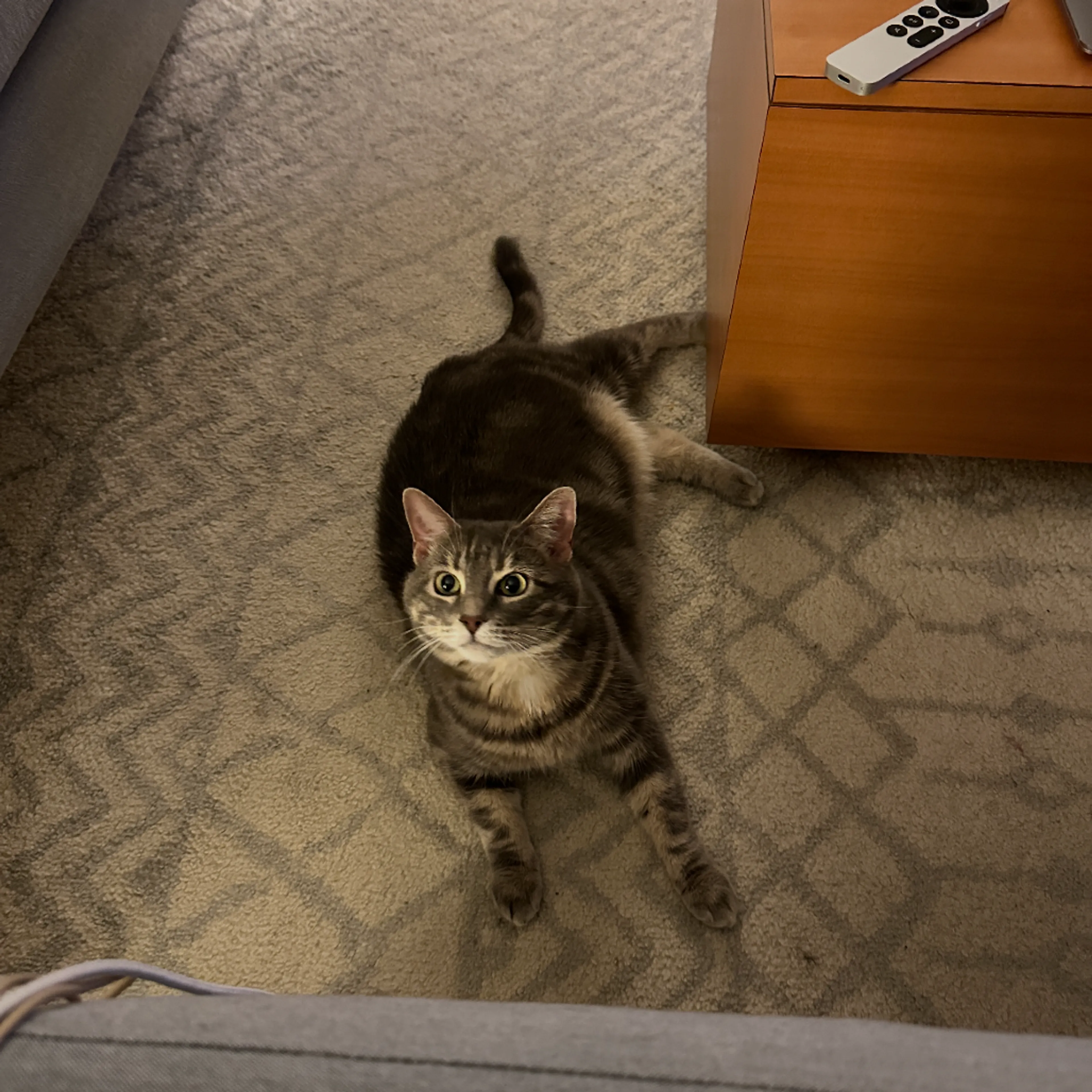 cdn image
