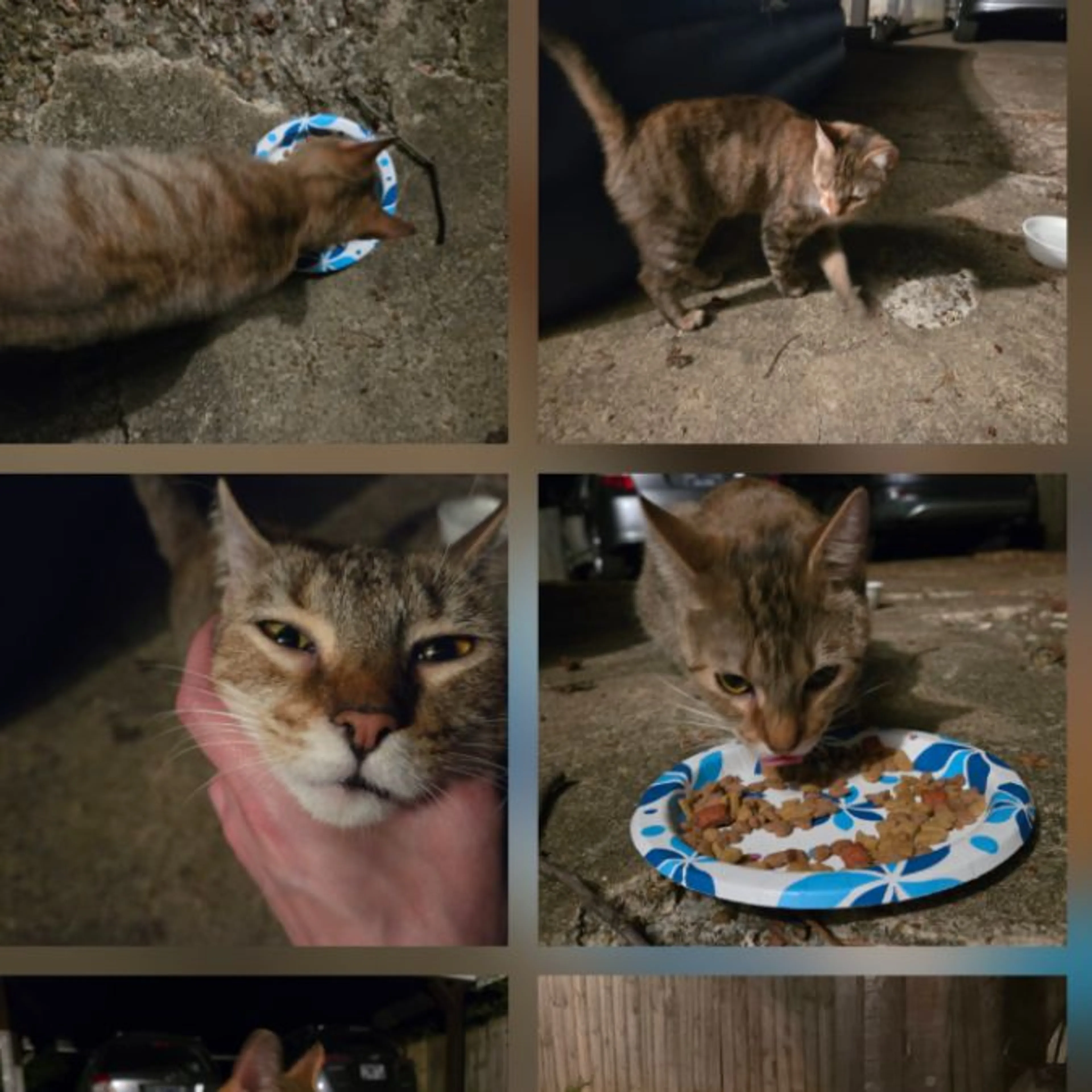 cdn image