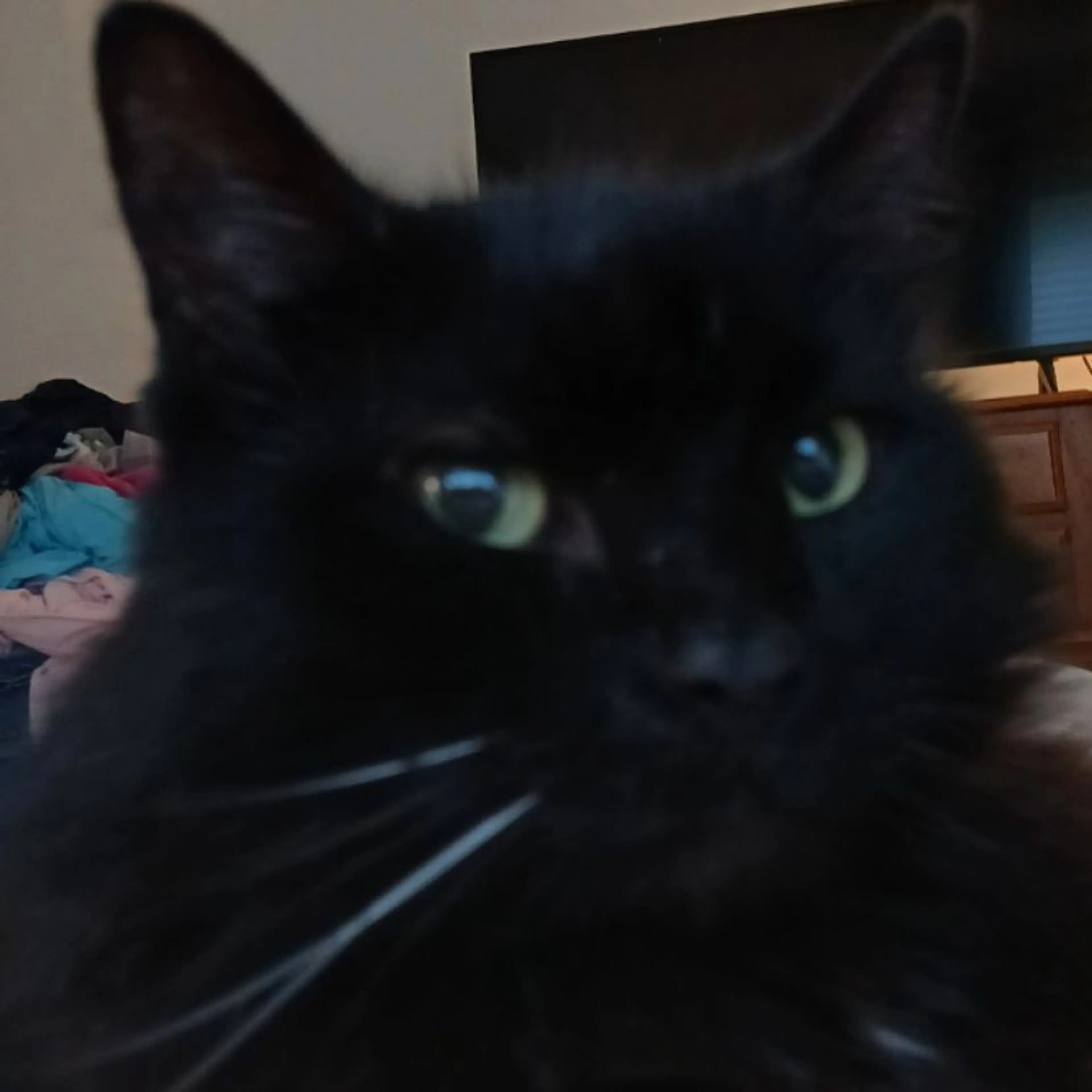 cdn image