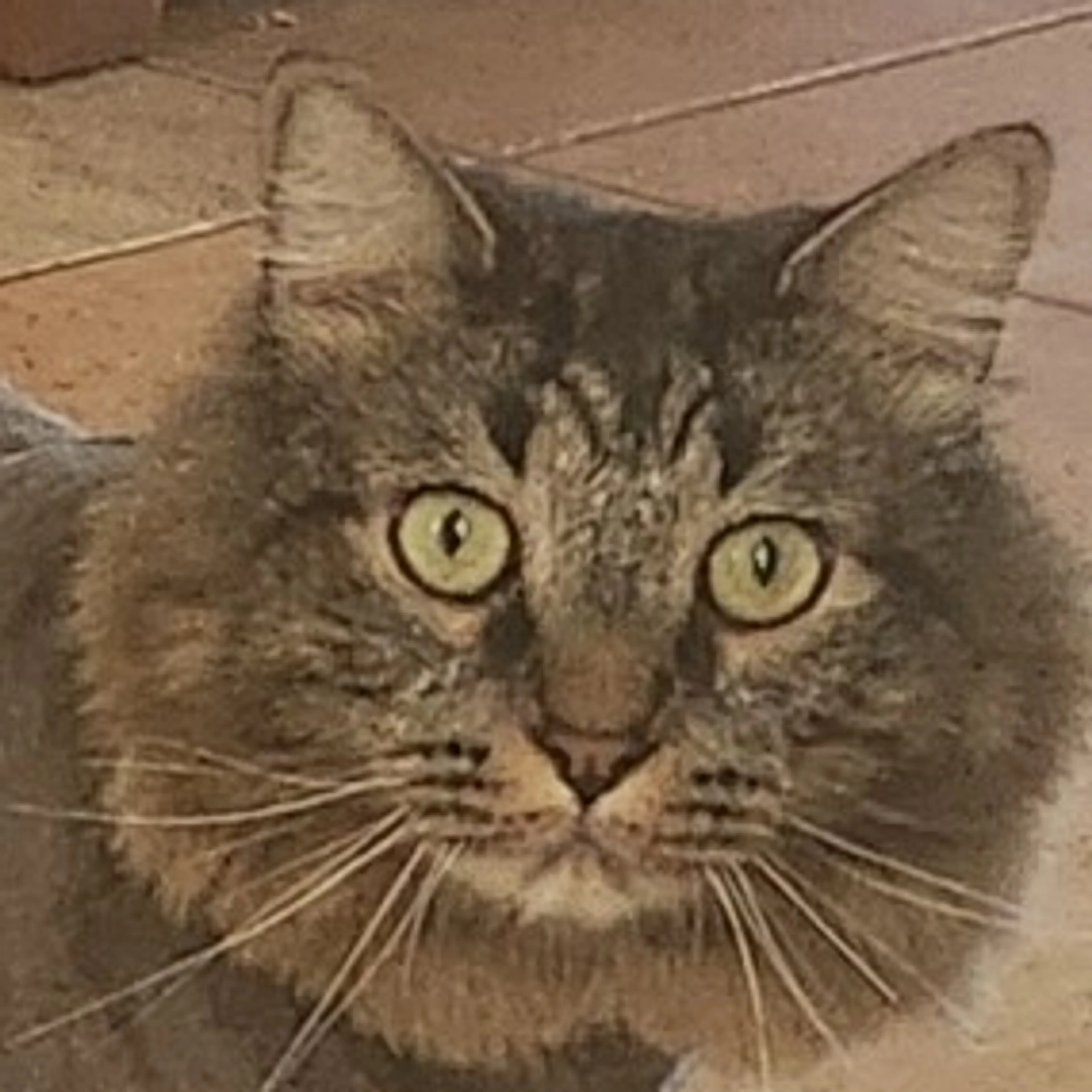 cdn image