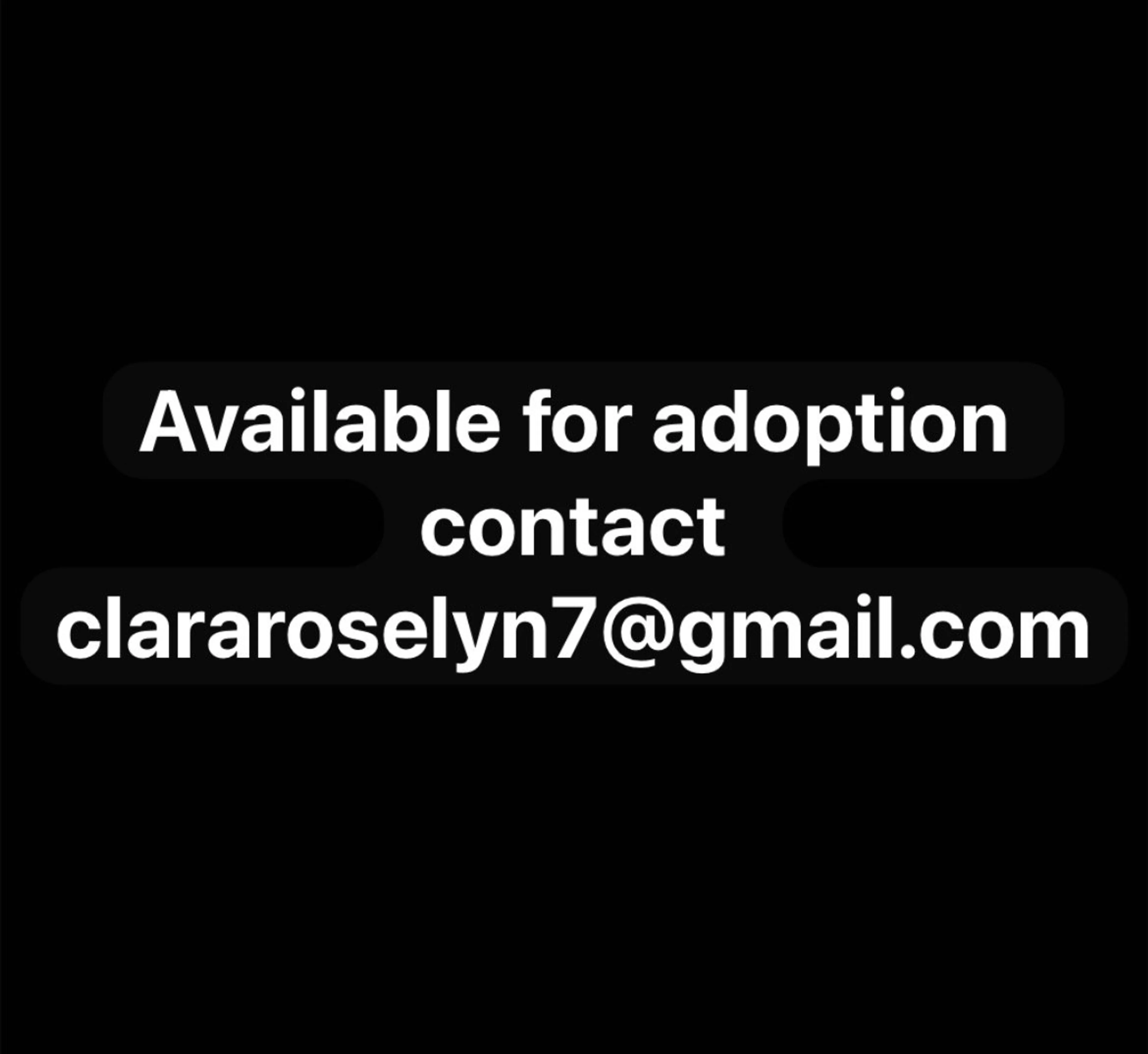 cdn image