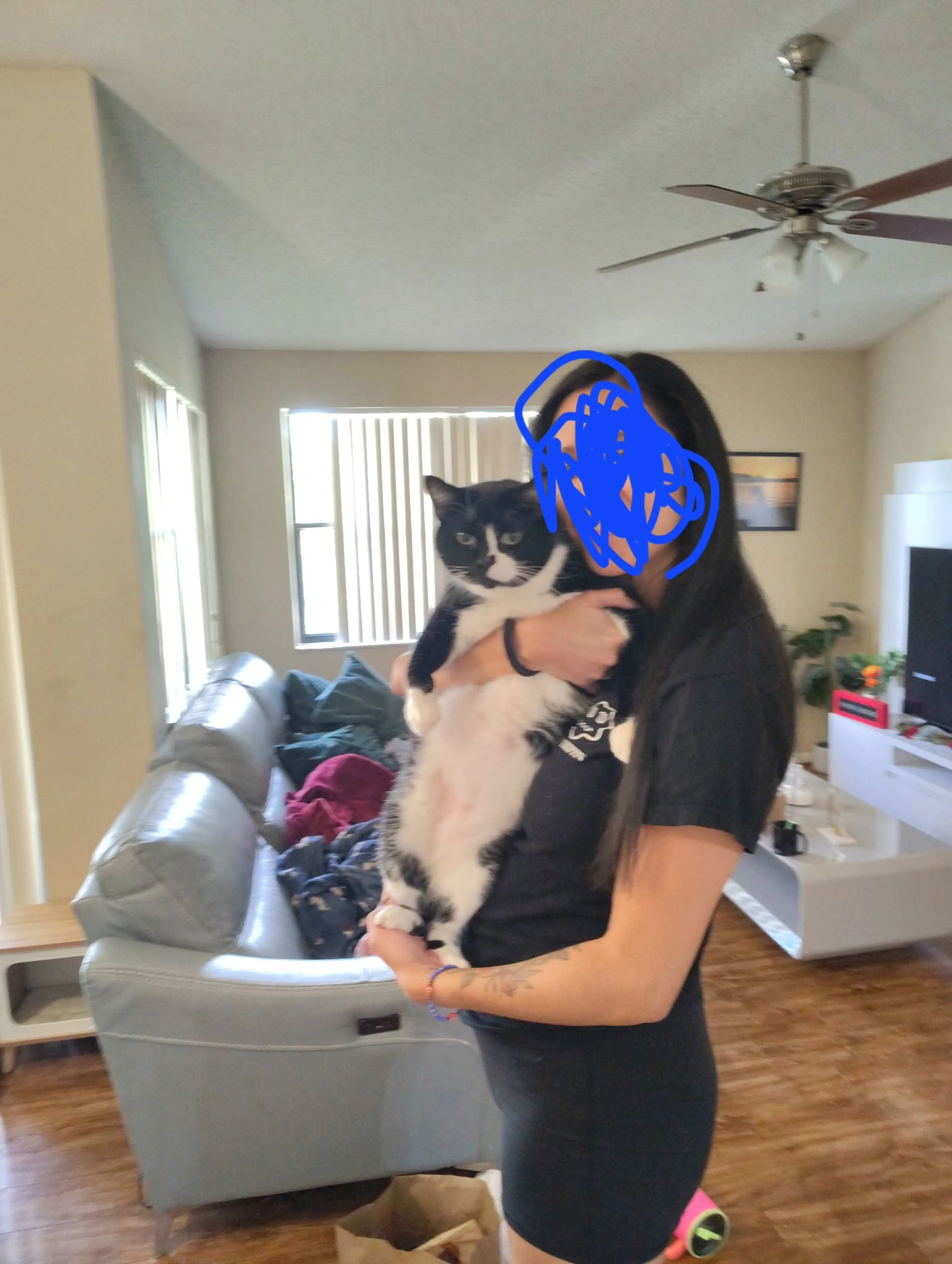 cdn image