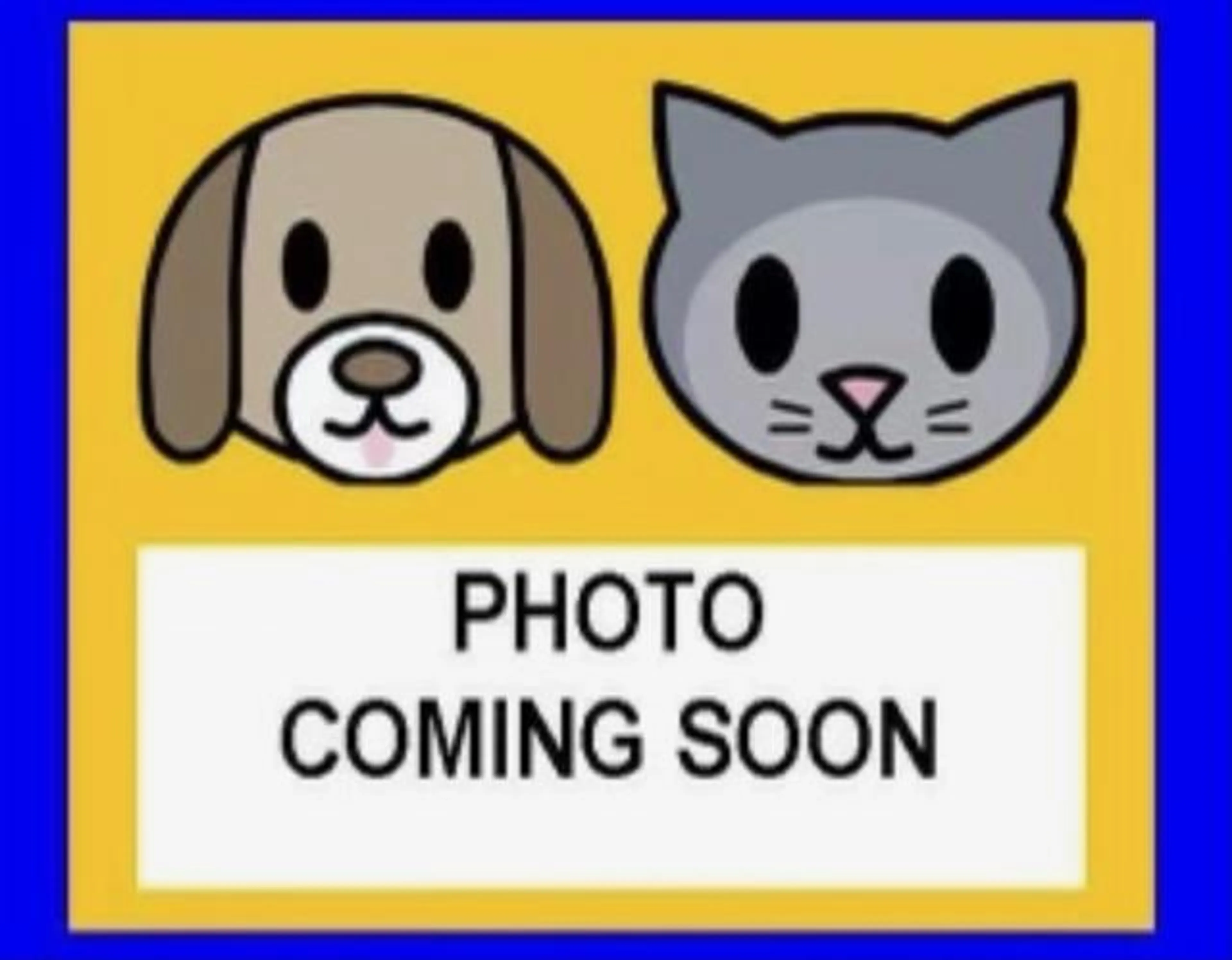 cdn image