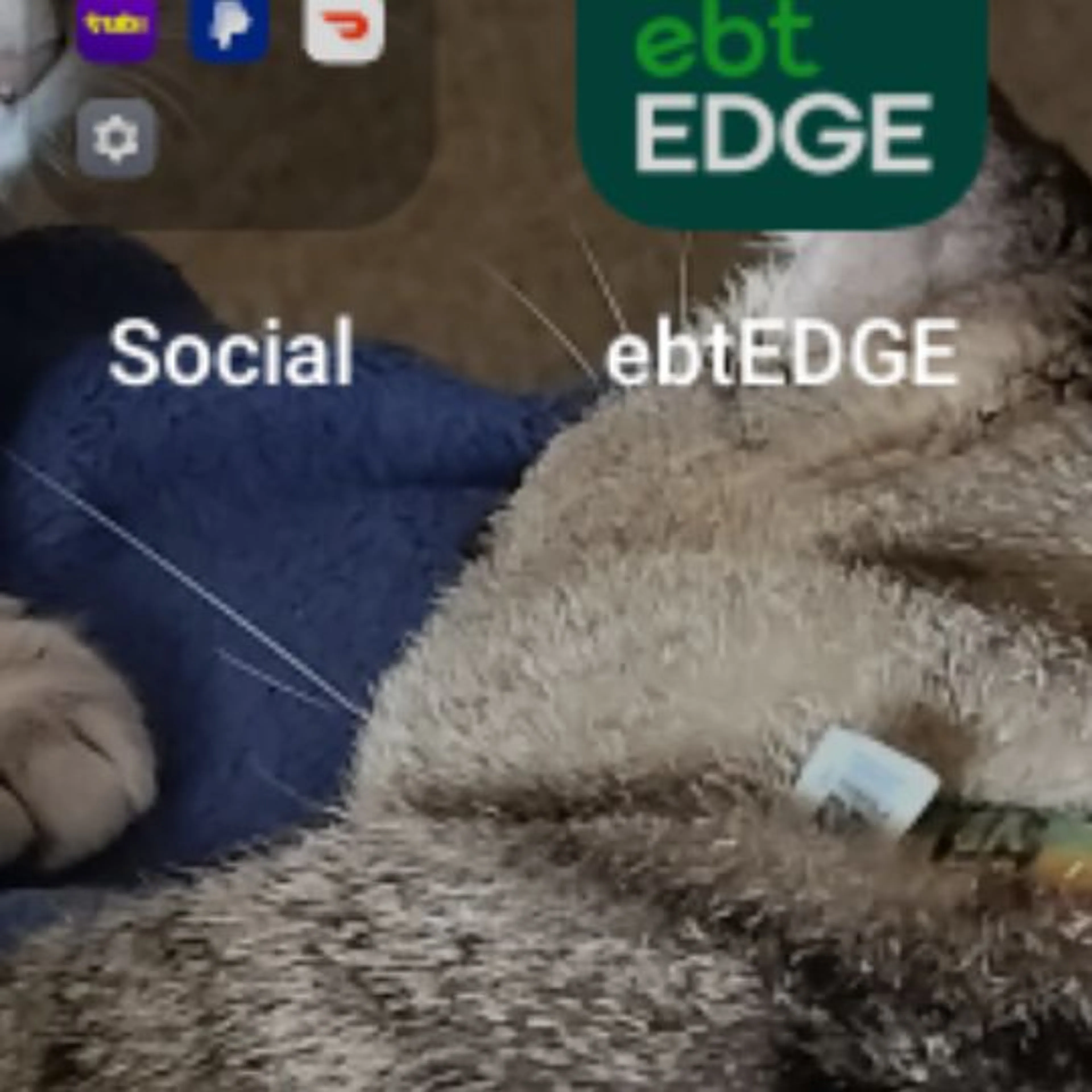 cdn image