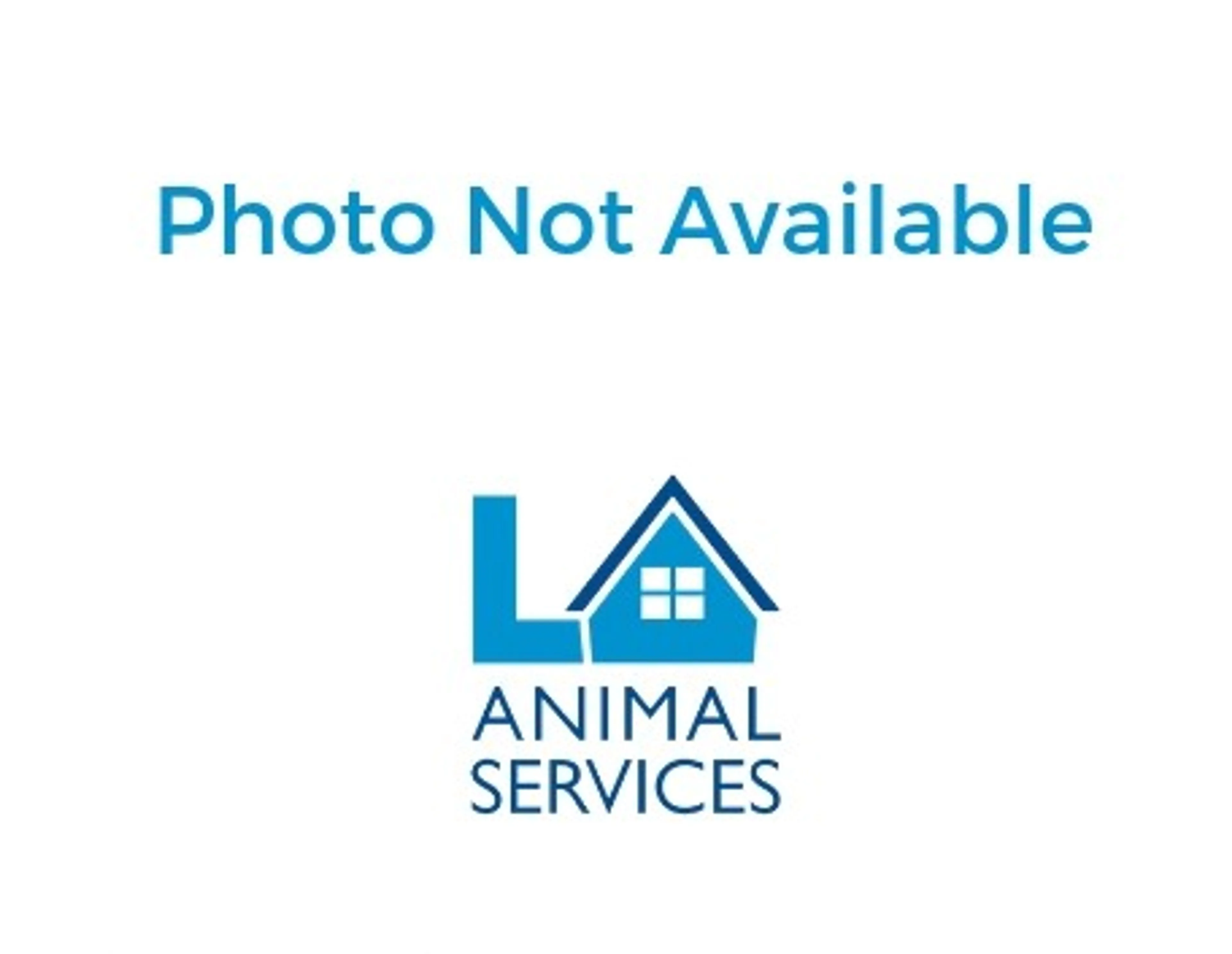 cdn image