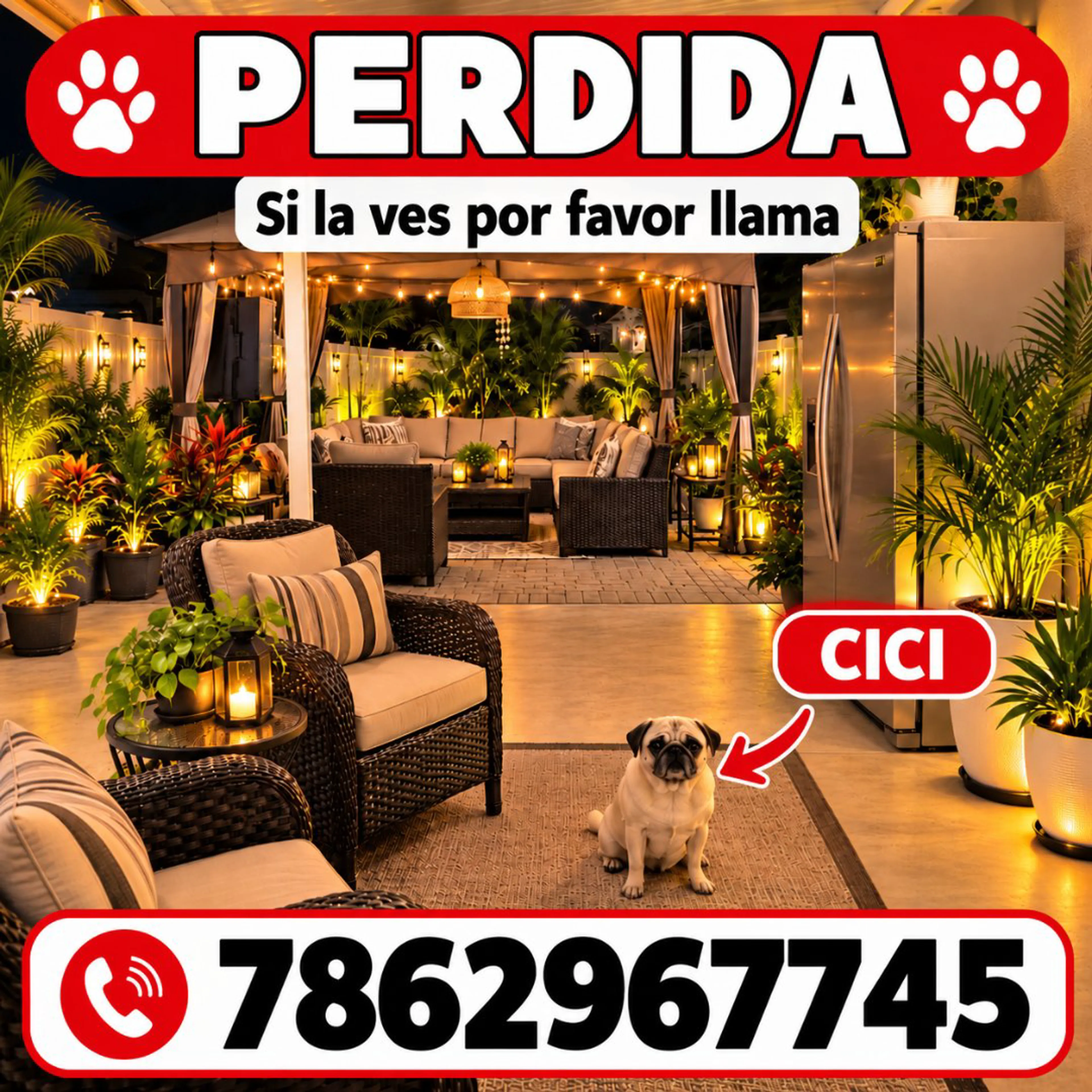 cdn image
