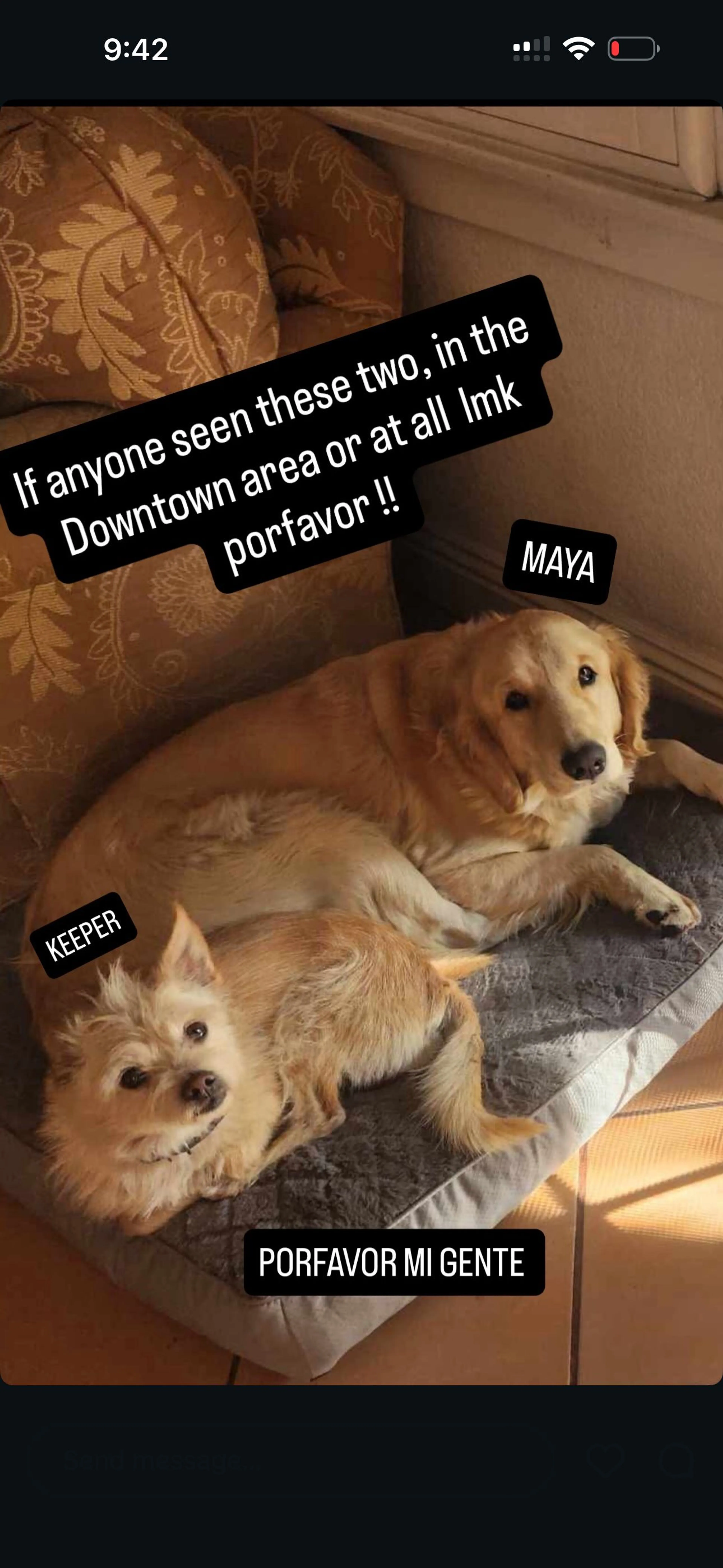 cdn image