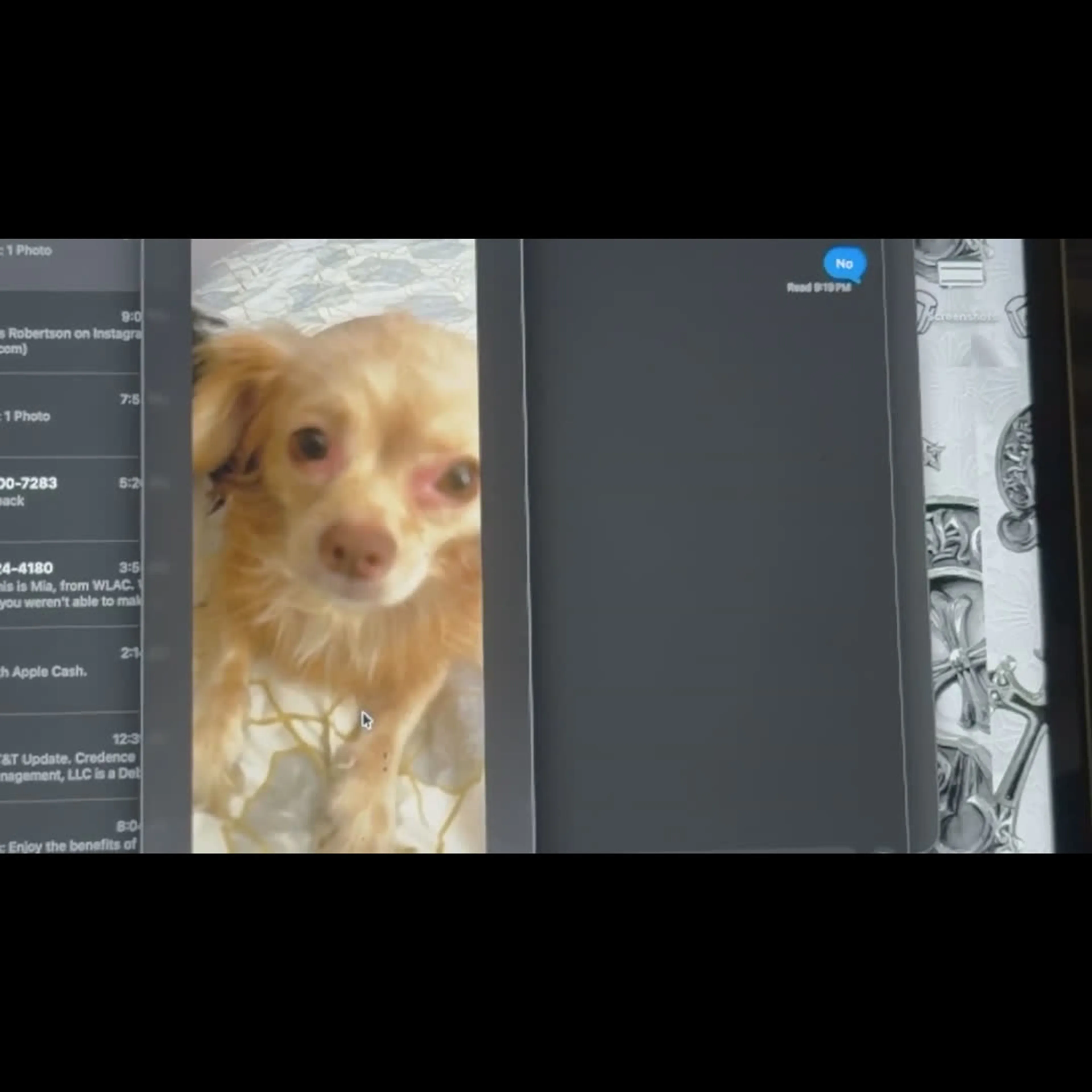 cdn image